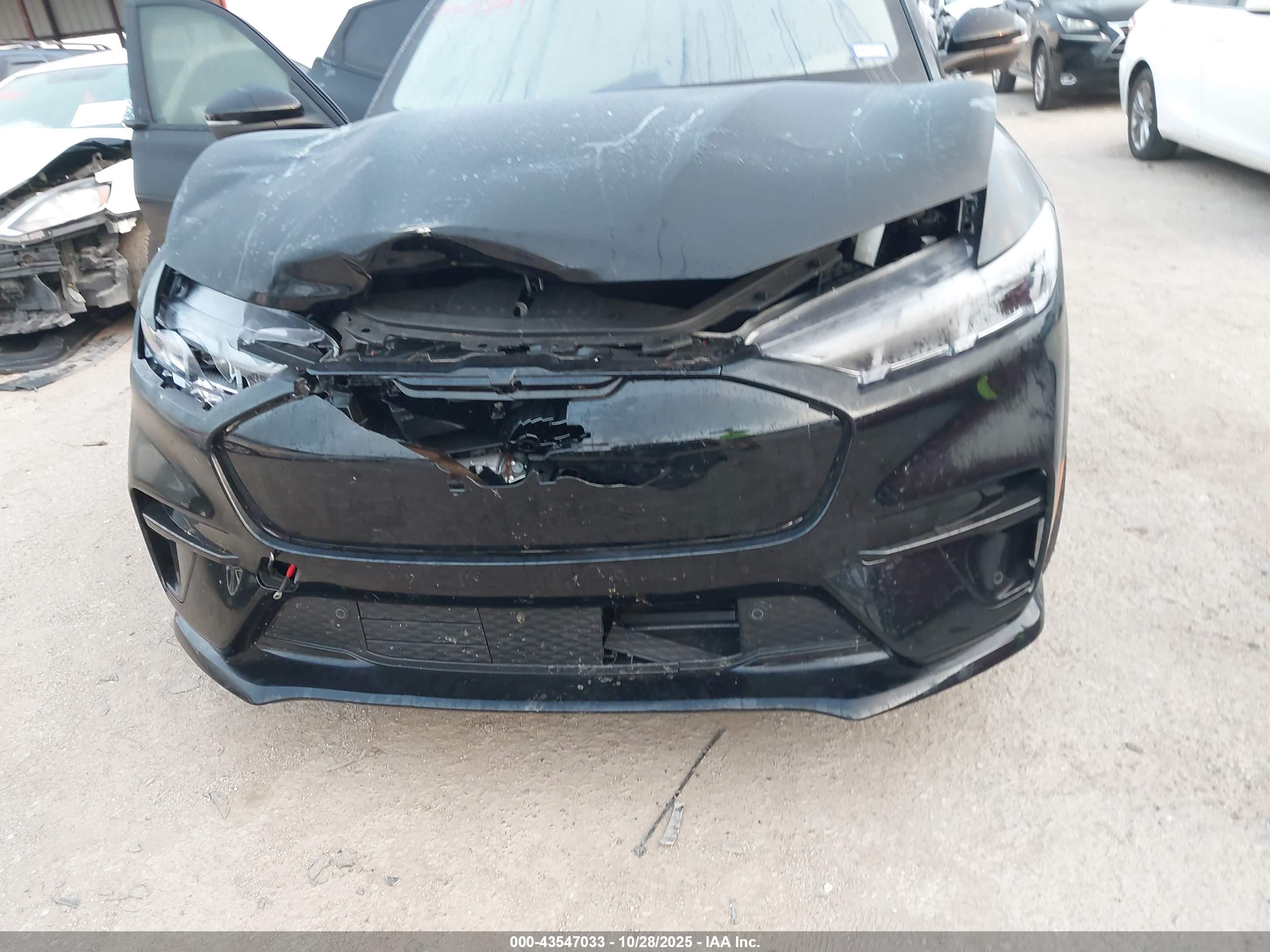 FORD MUSTANG image 6