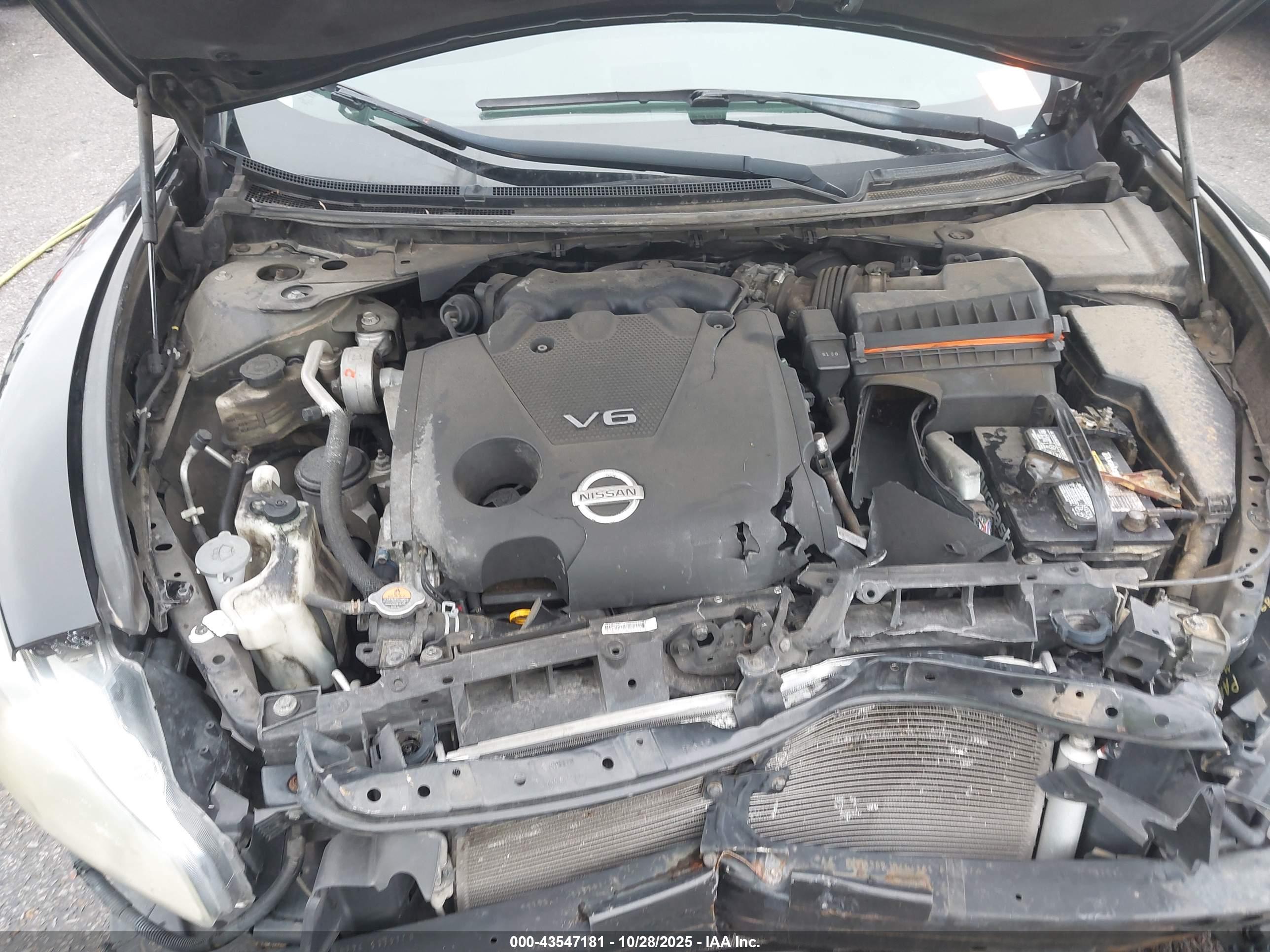 NISSAN MAXIMA image 10