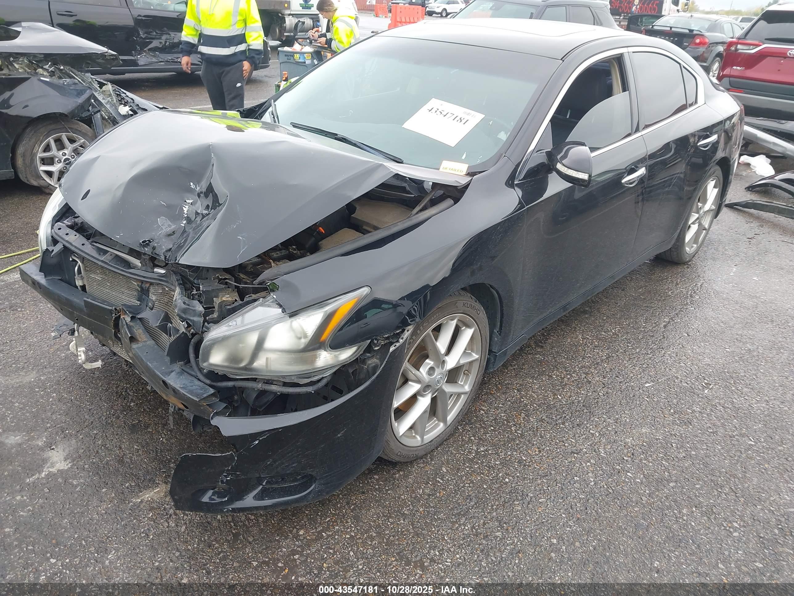 NISSAN MAXIMA image 2