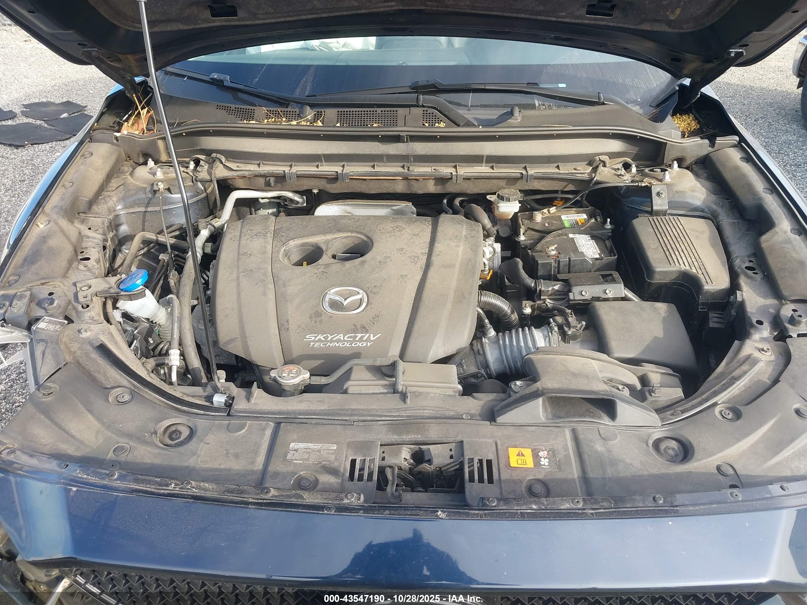 MAZDA CX-5 image 10