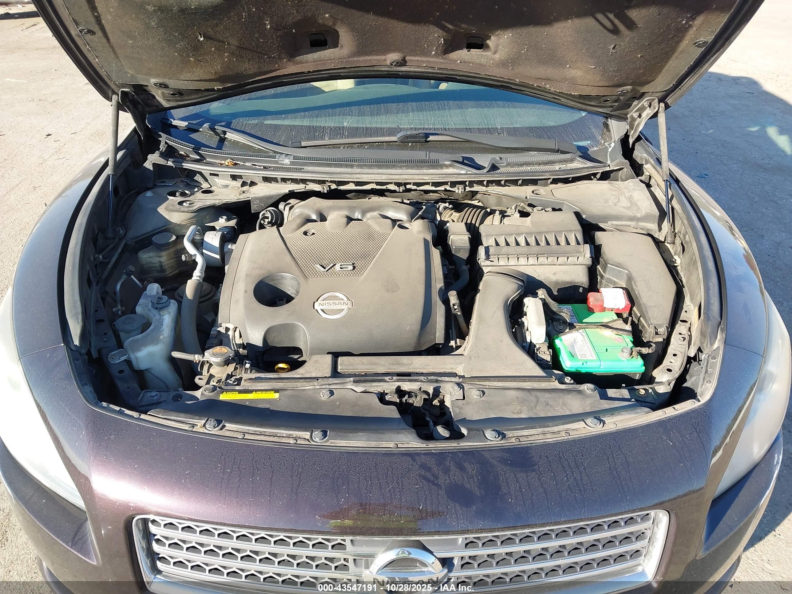 NISSAN MAXIMA image 10