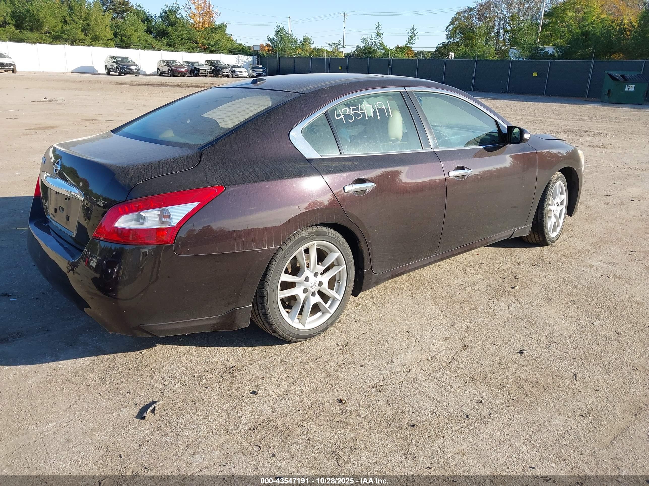 NISSAN MAXIMA image 4