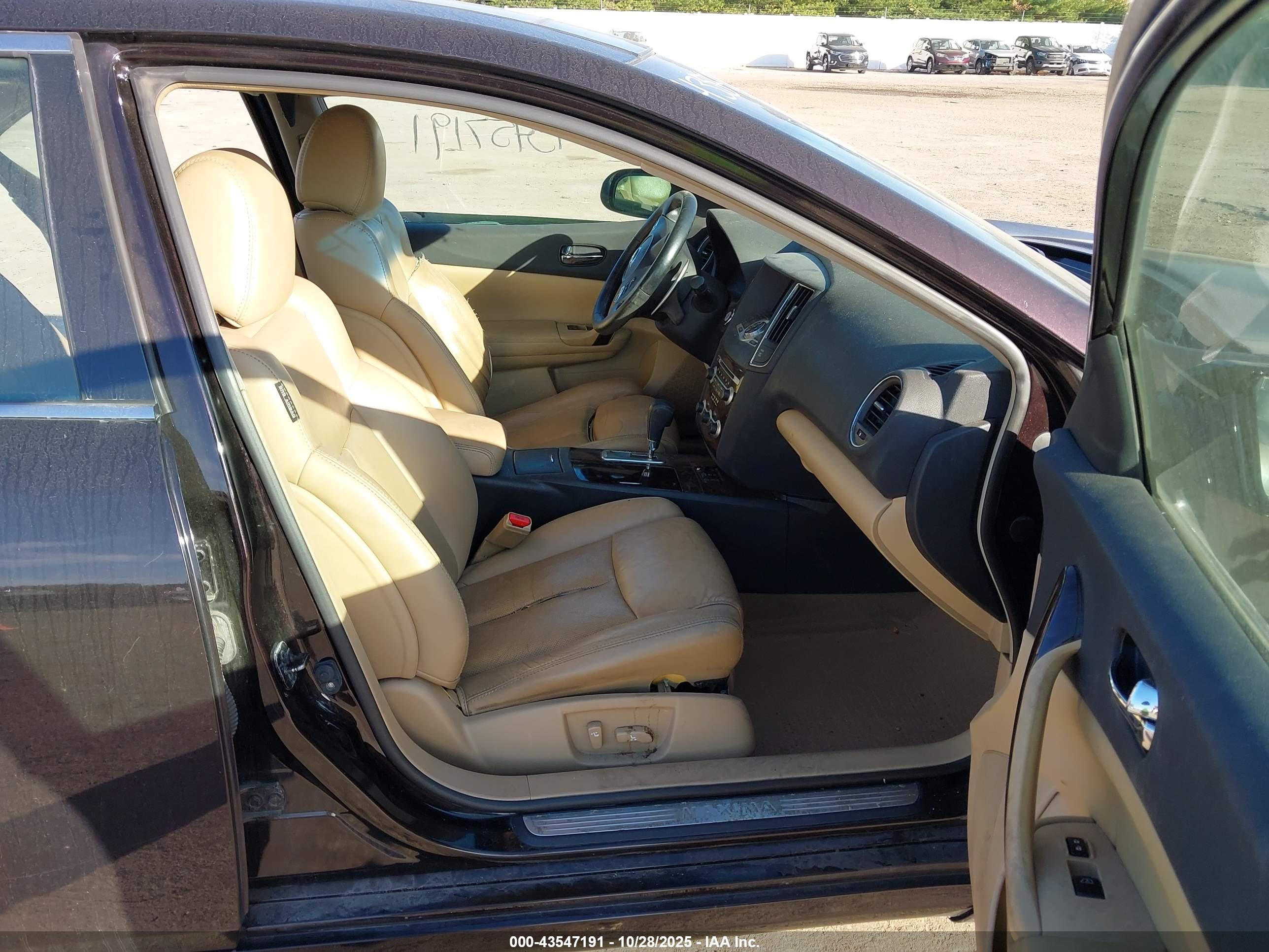 NISSAN MAXIMA image 5
