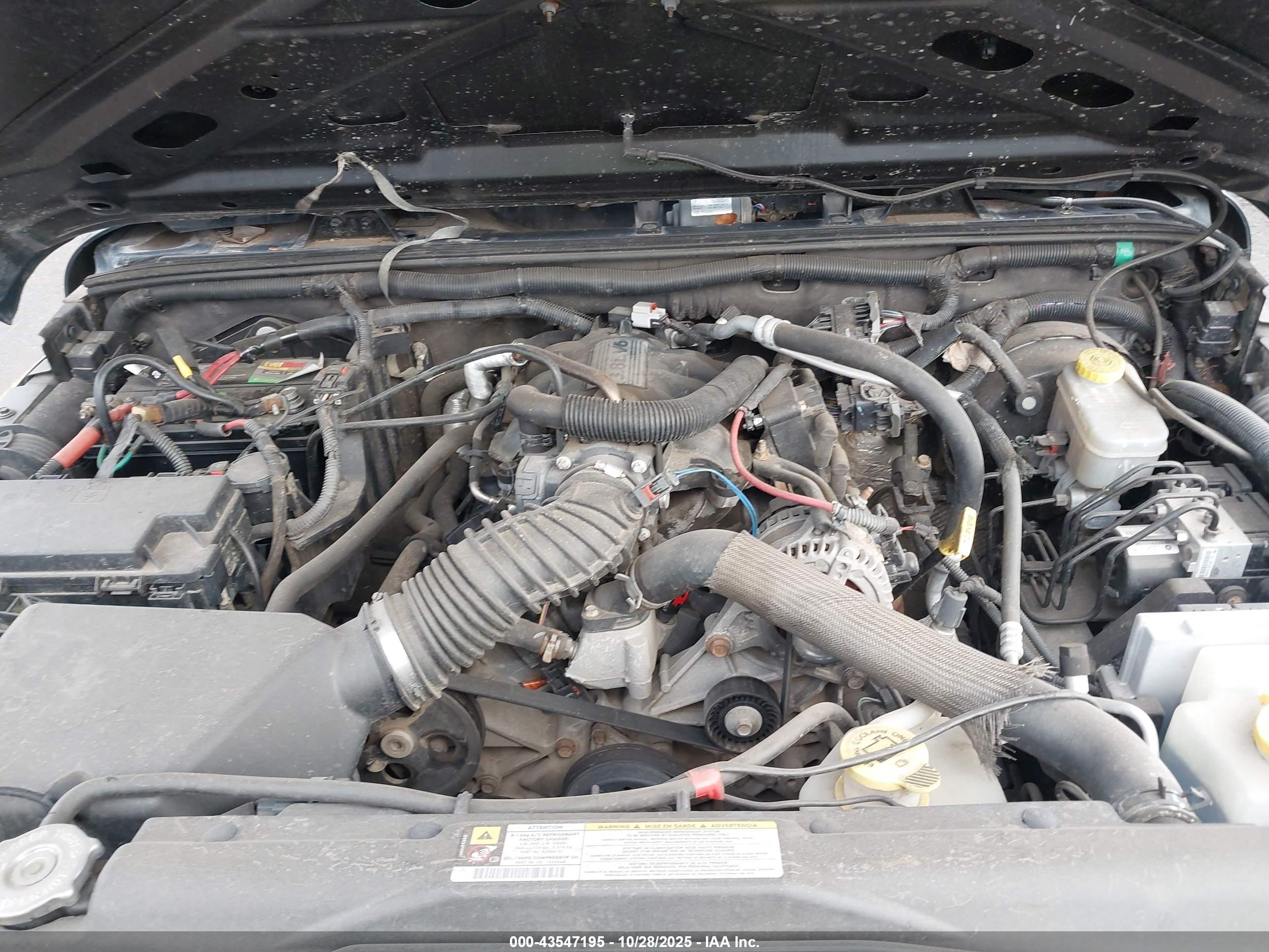 JEEP WRANGLER image 10