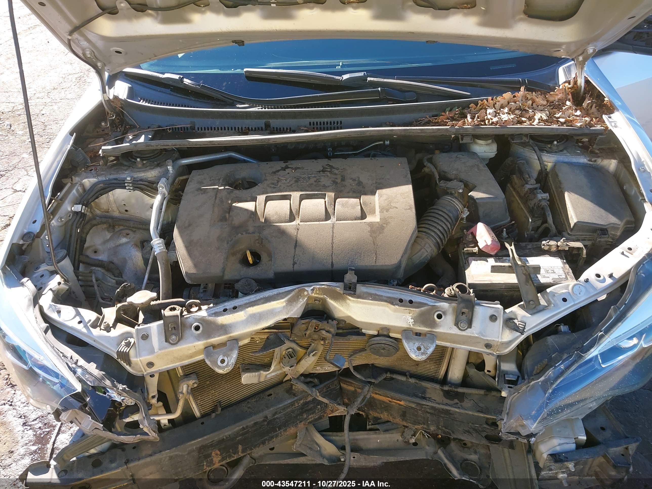 TOYOTA COROLLA image 10