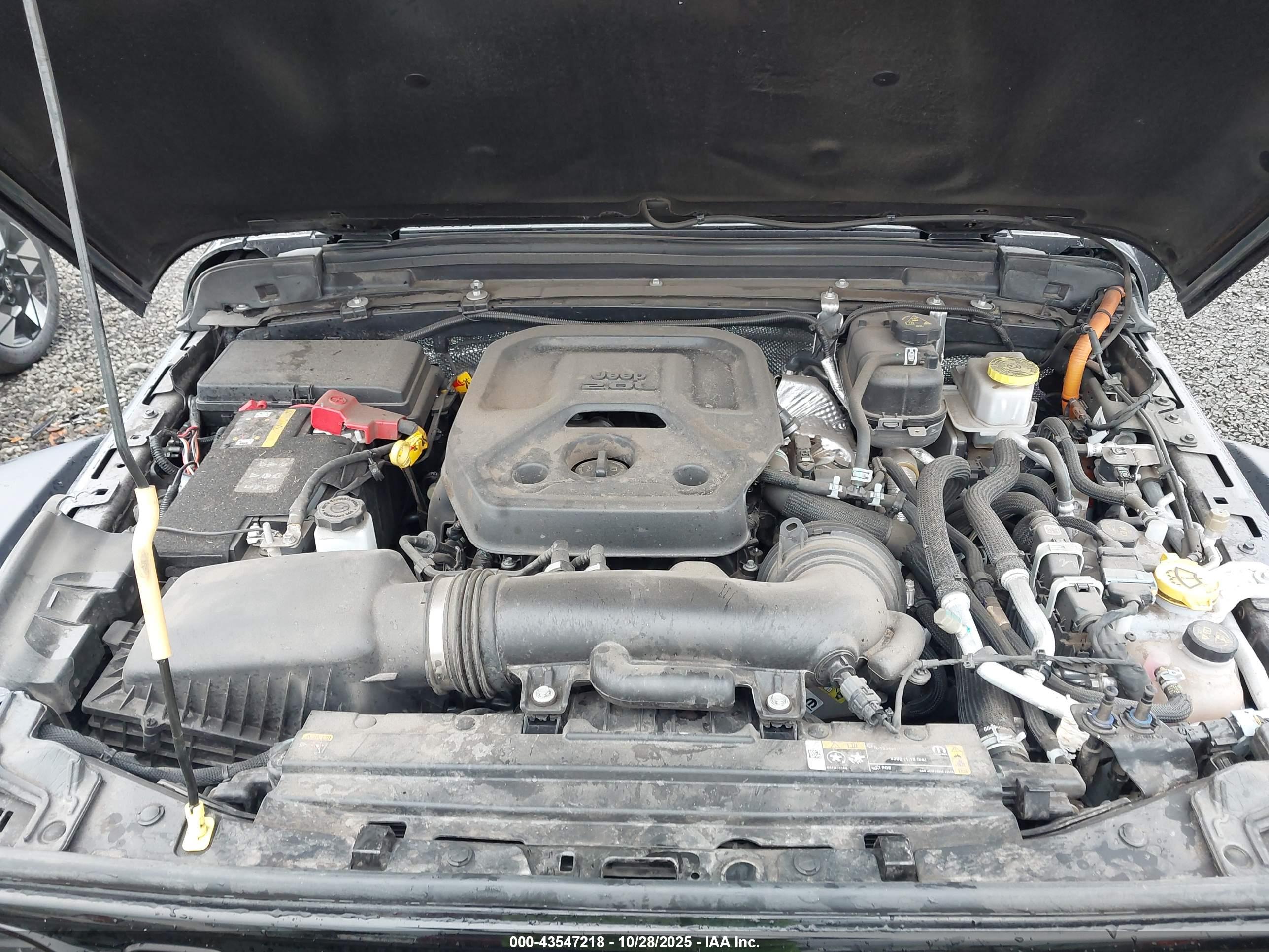 JEEP WRANGLER image 10