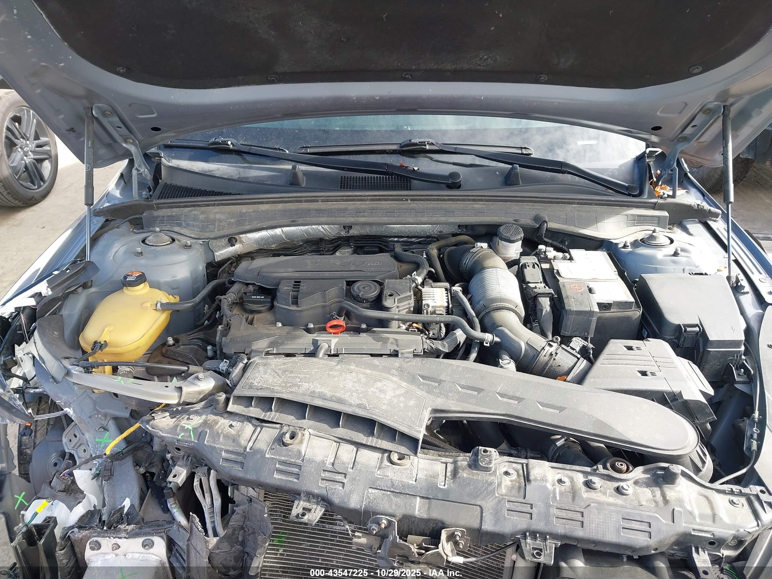 KIA K5 image 10