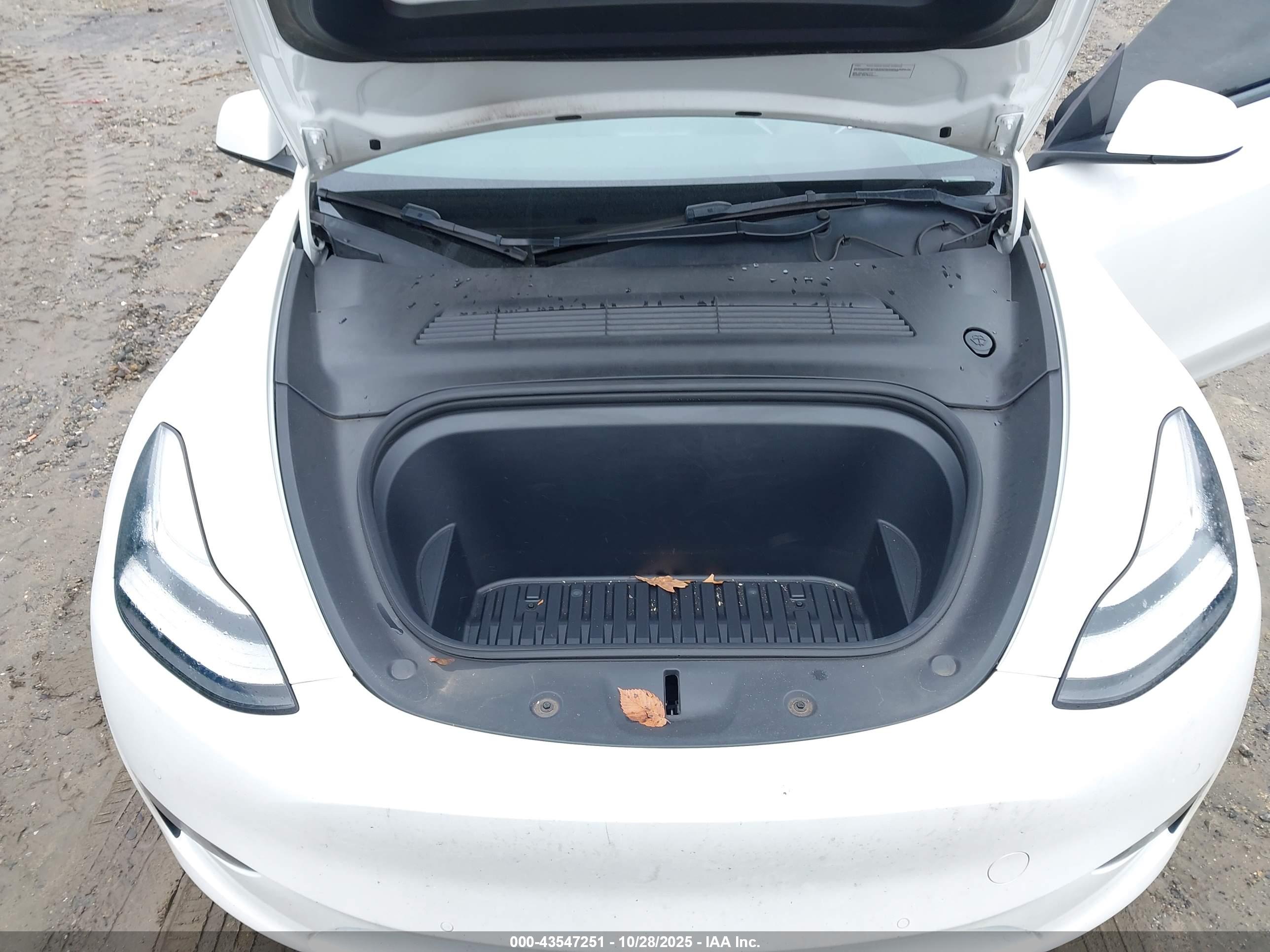 TESLA MODEL image 10