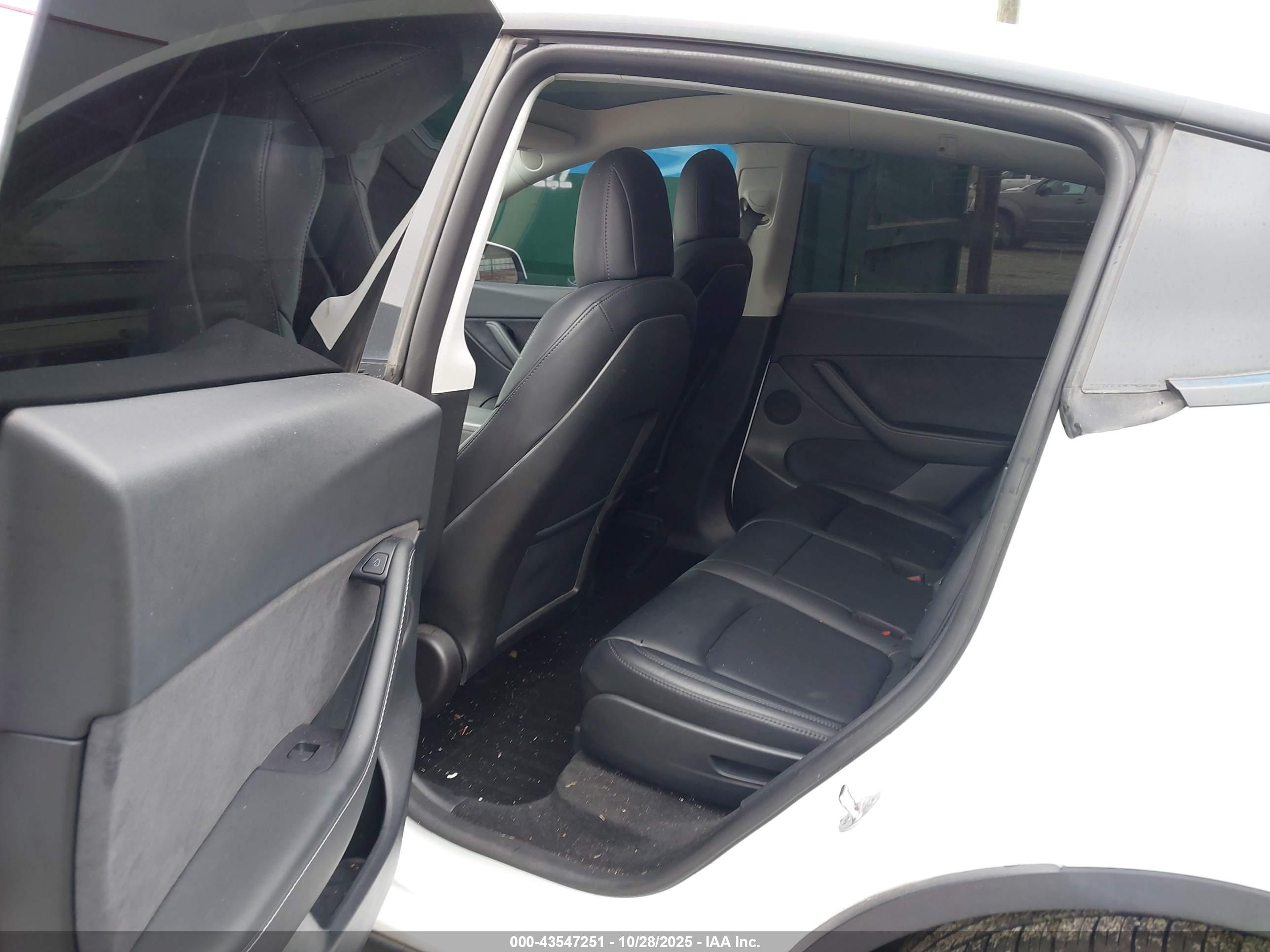 TESLA MODEL image 8