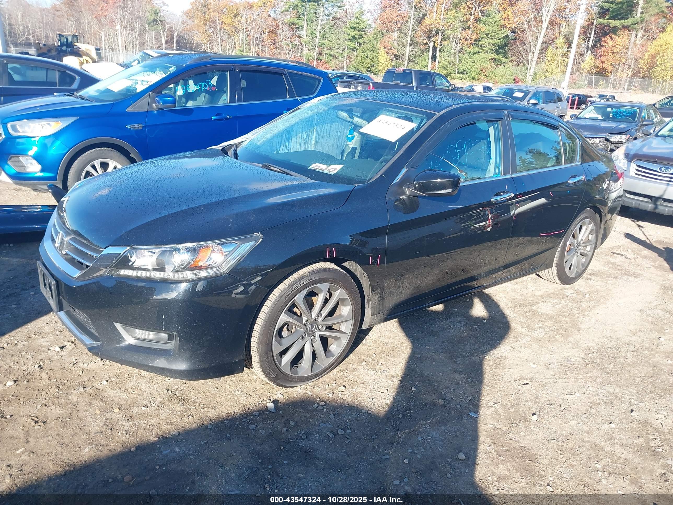 HONDA ACCORD image 2