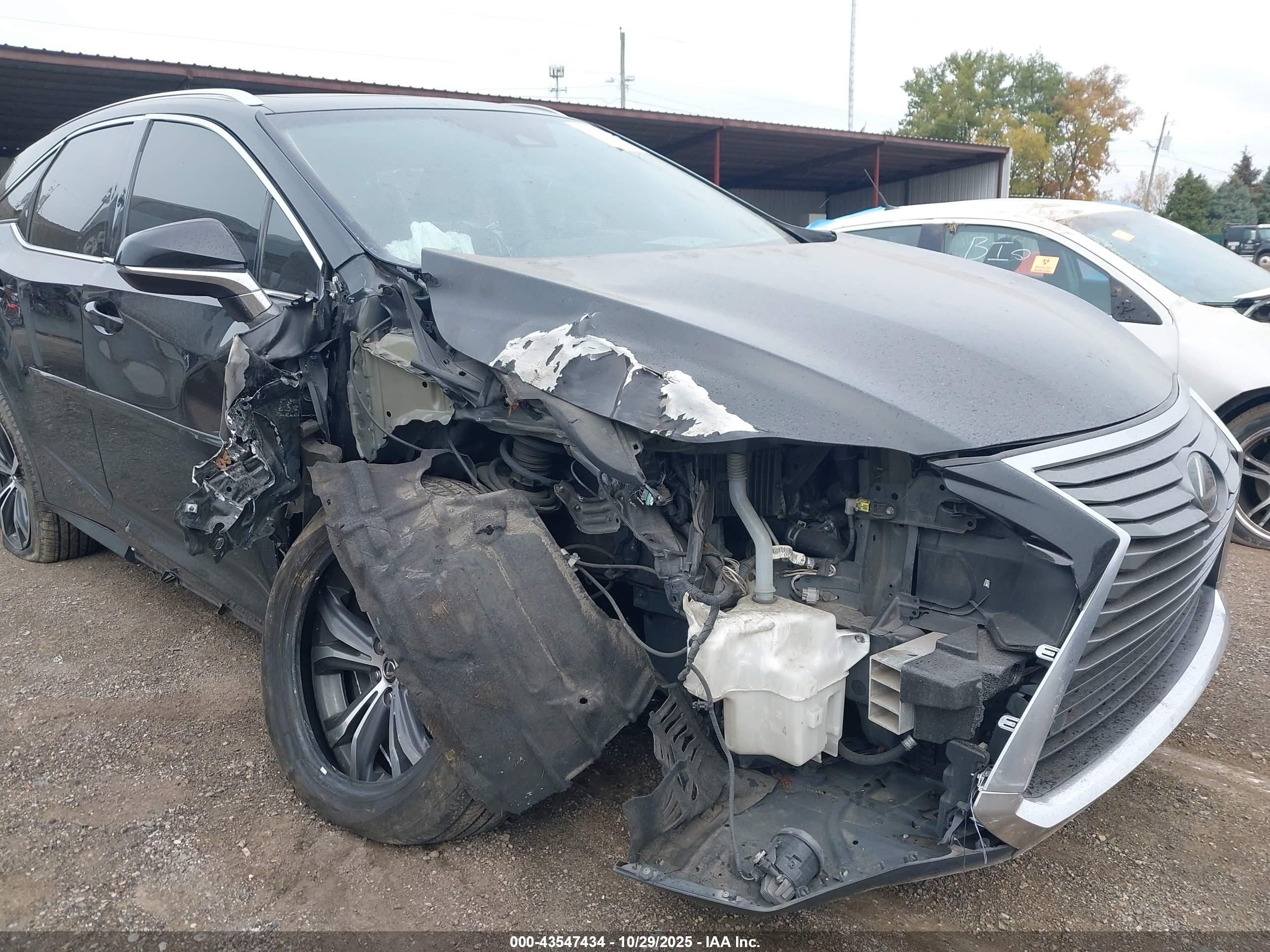 LEXUS RX image 6