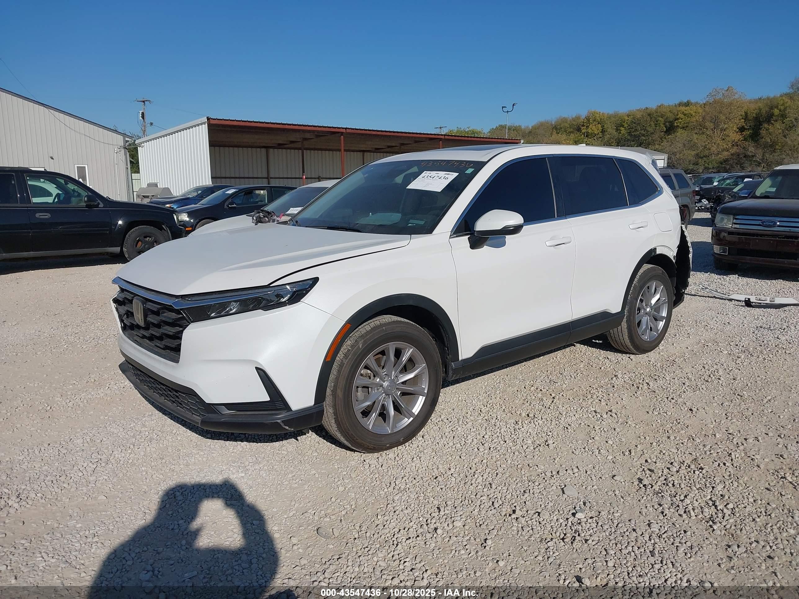 HONDA CR-V image 2