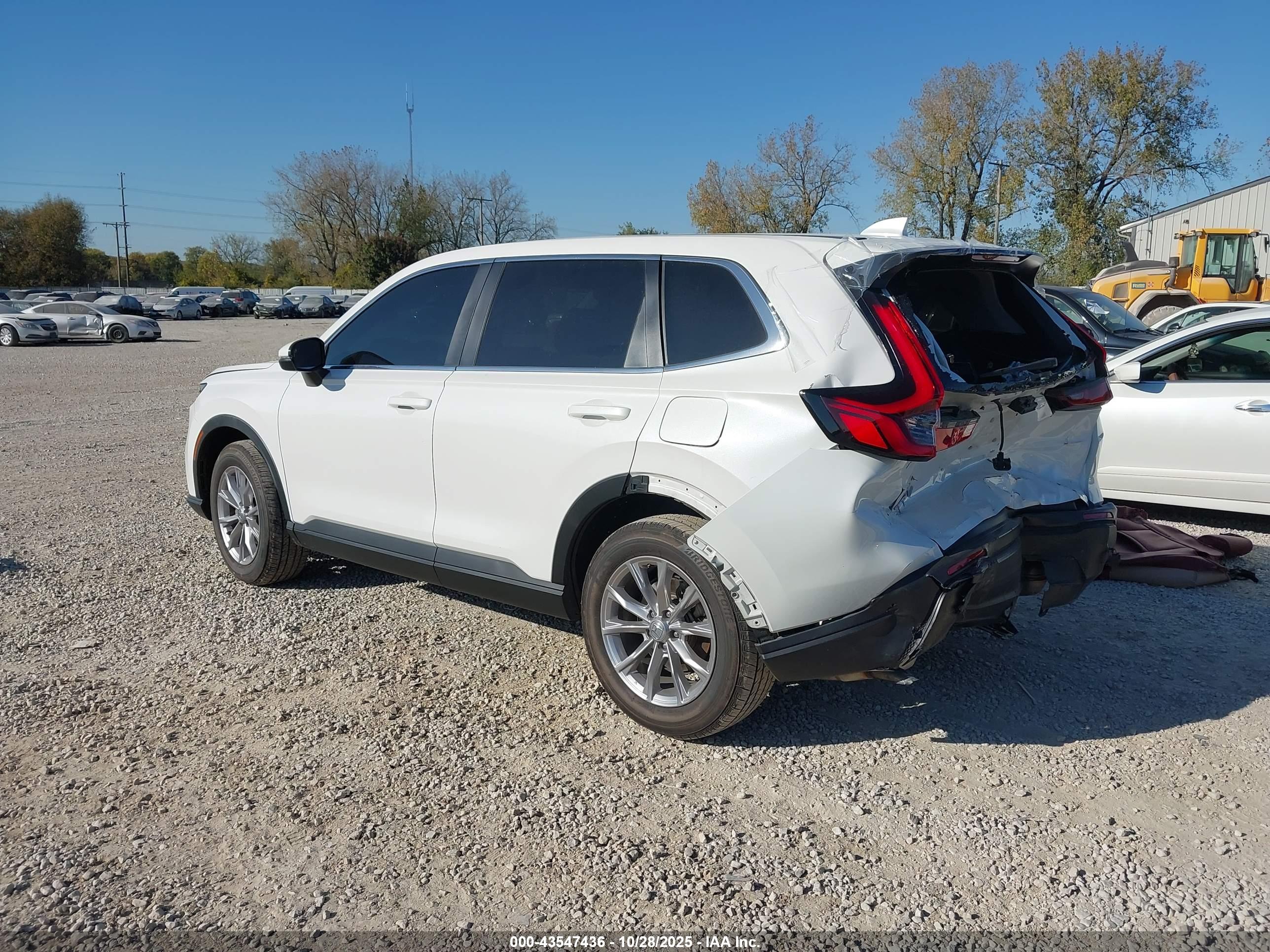 HONDA CR-V image 3
