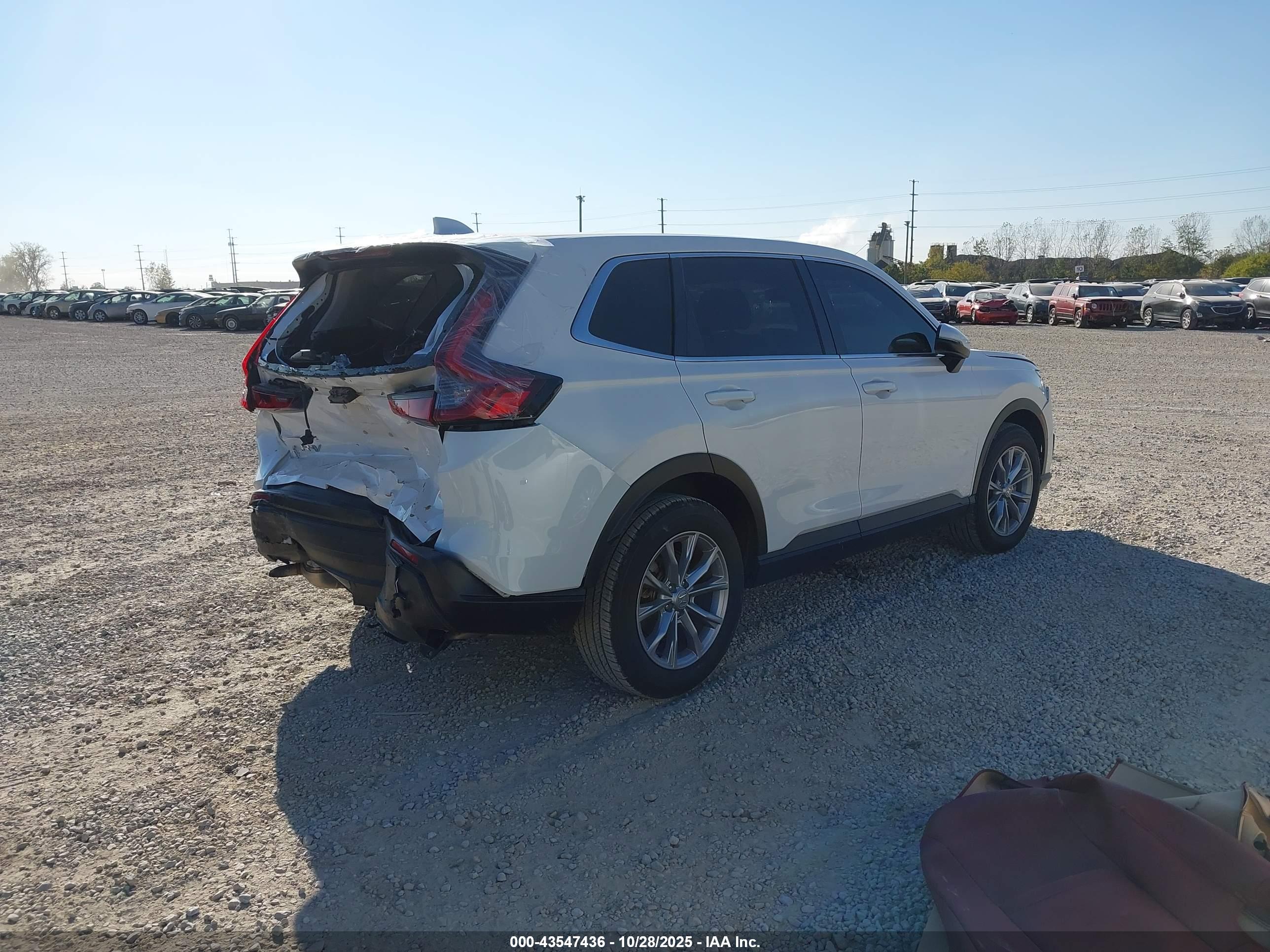 HONDA CR-V image 4