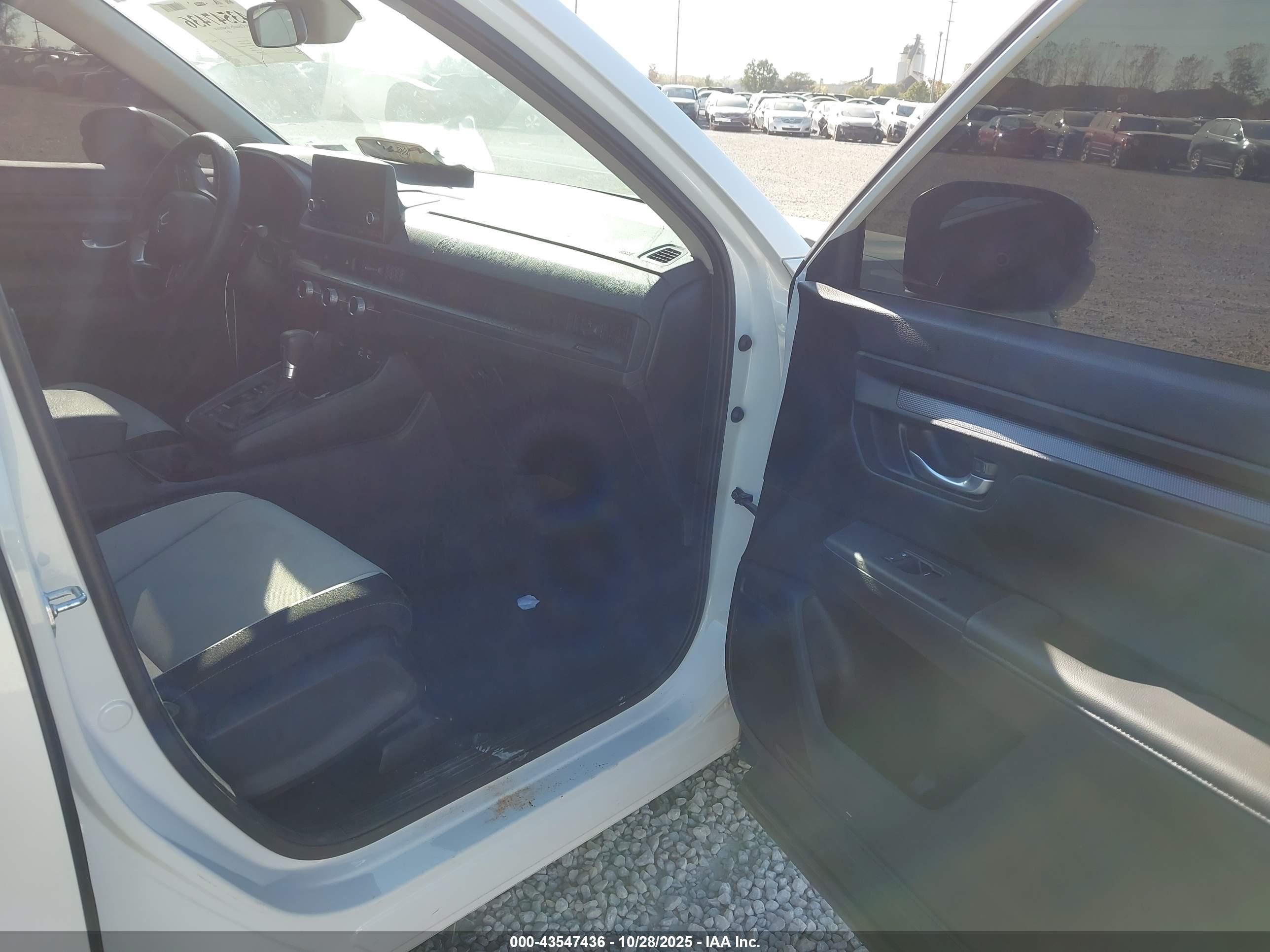 HONDA CR-V image 5