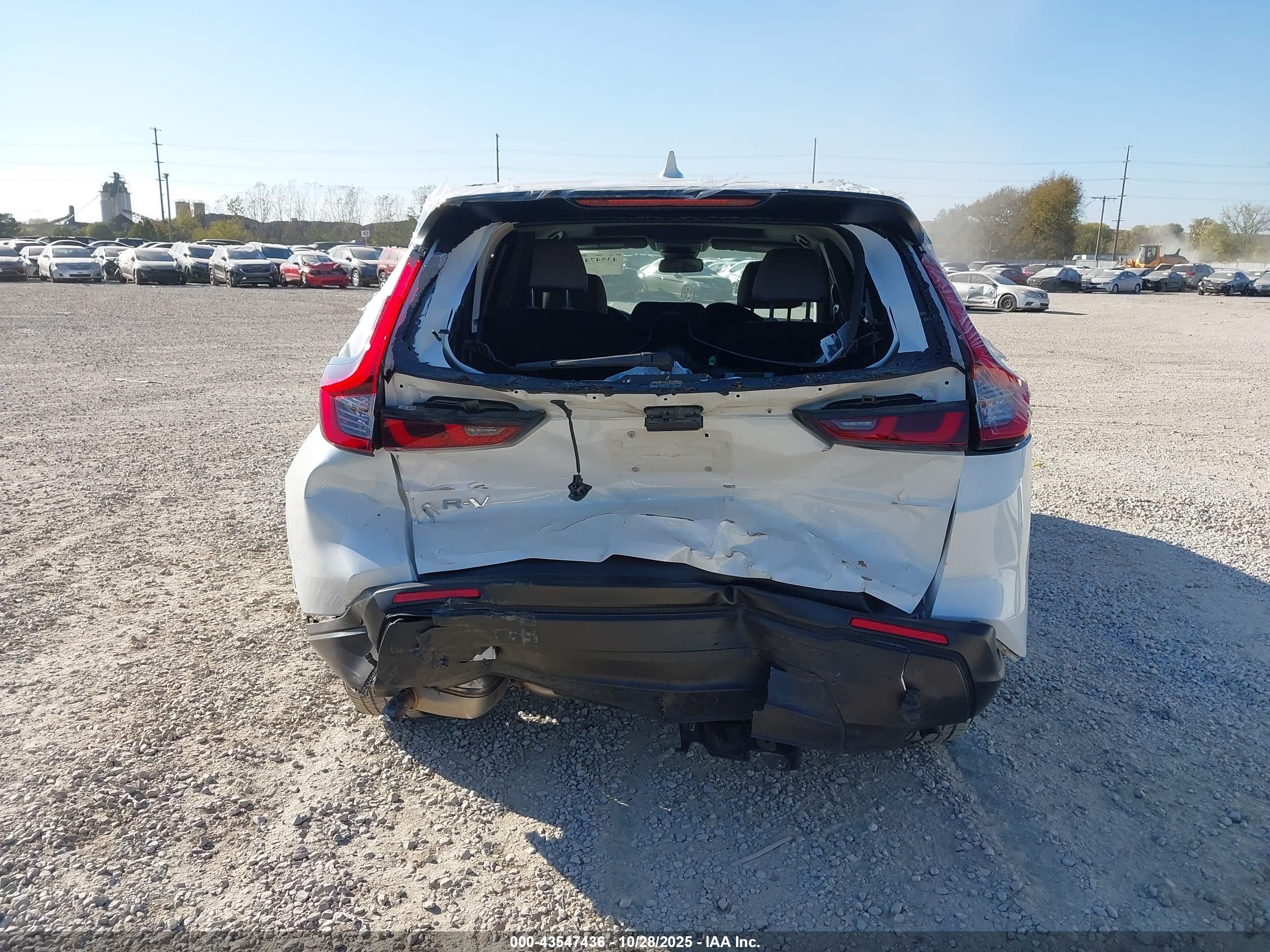 HONDA CR-V image 6