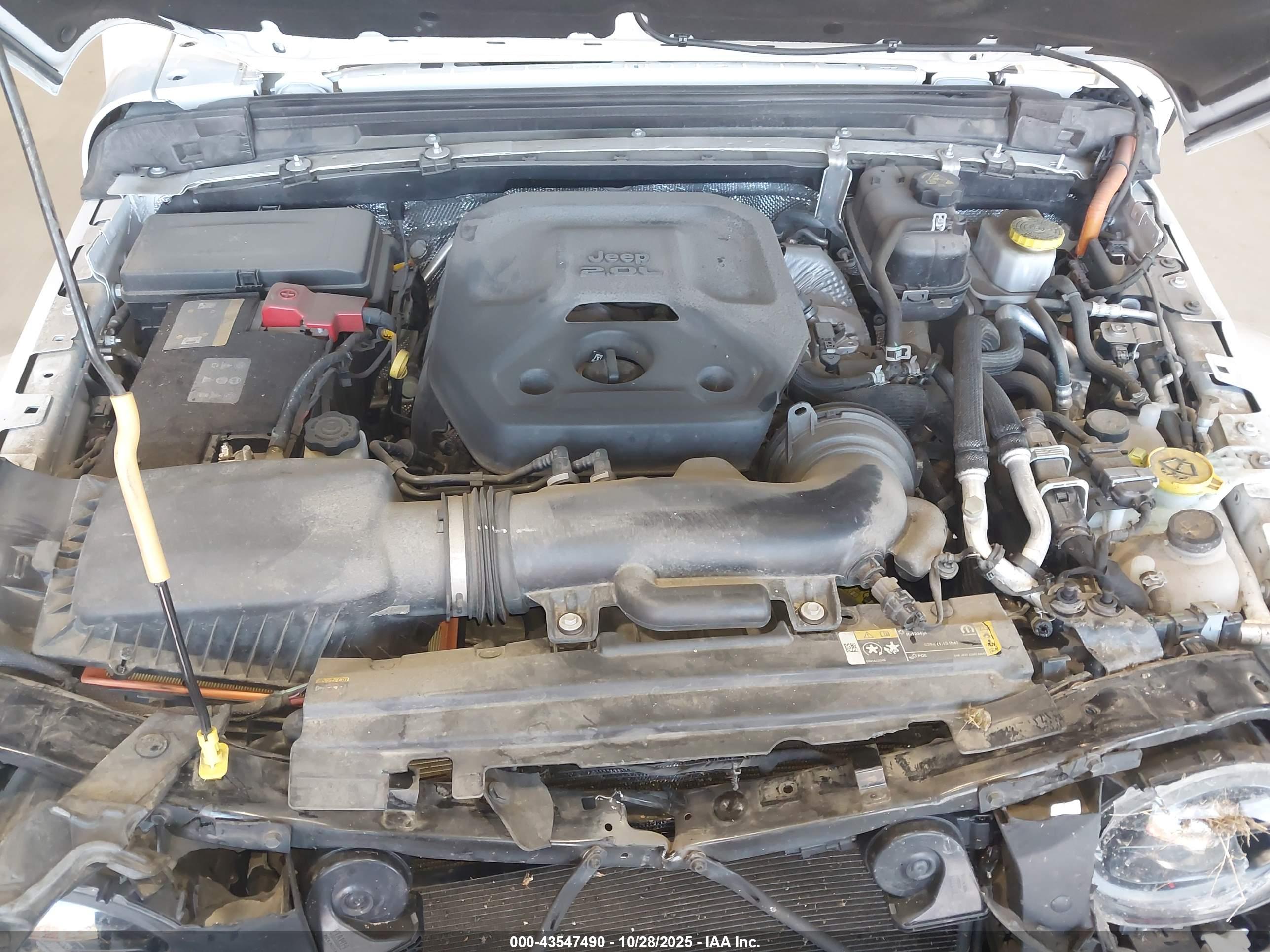 JEEP WRANGLER image 10