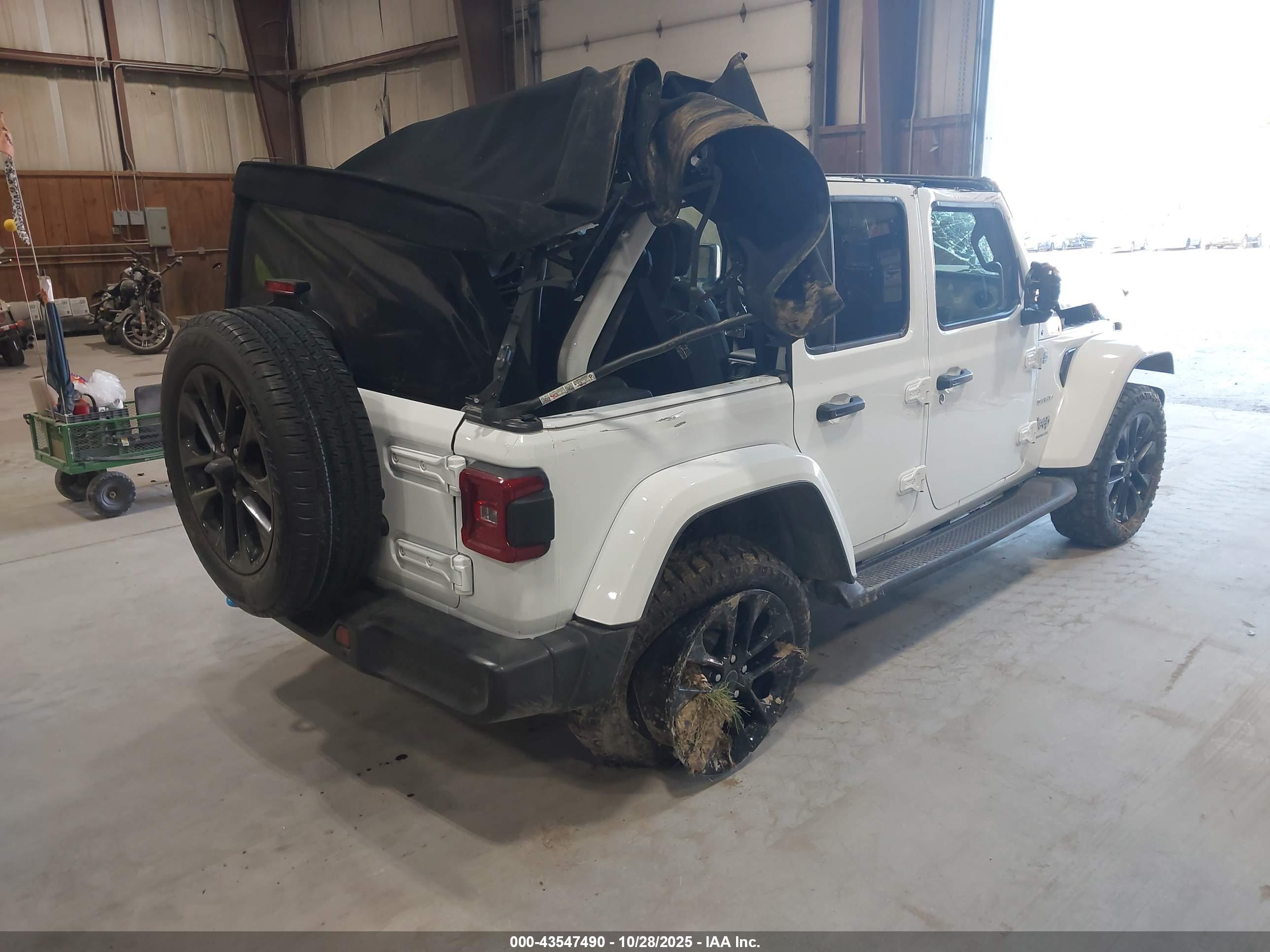 JEEP WRANGLER image 4