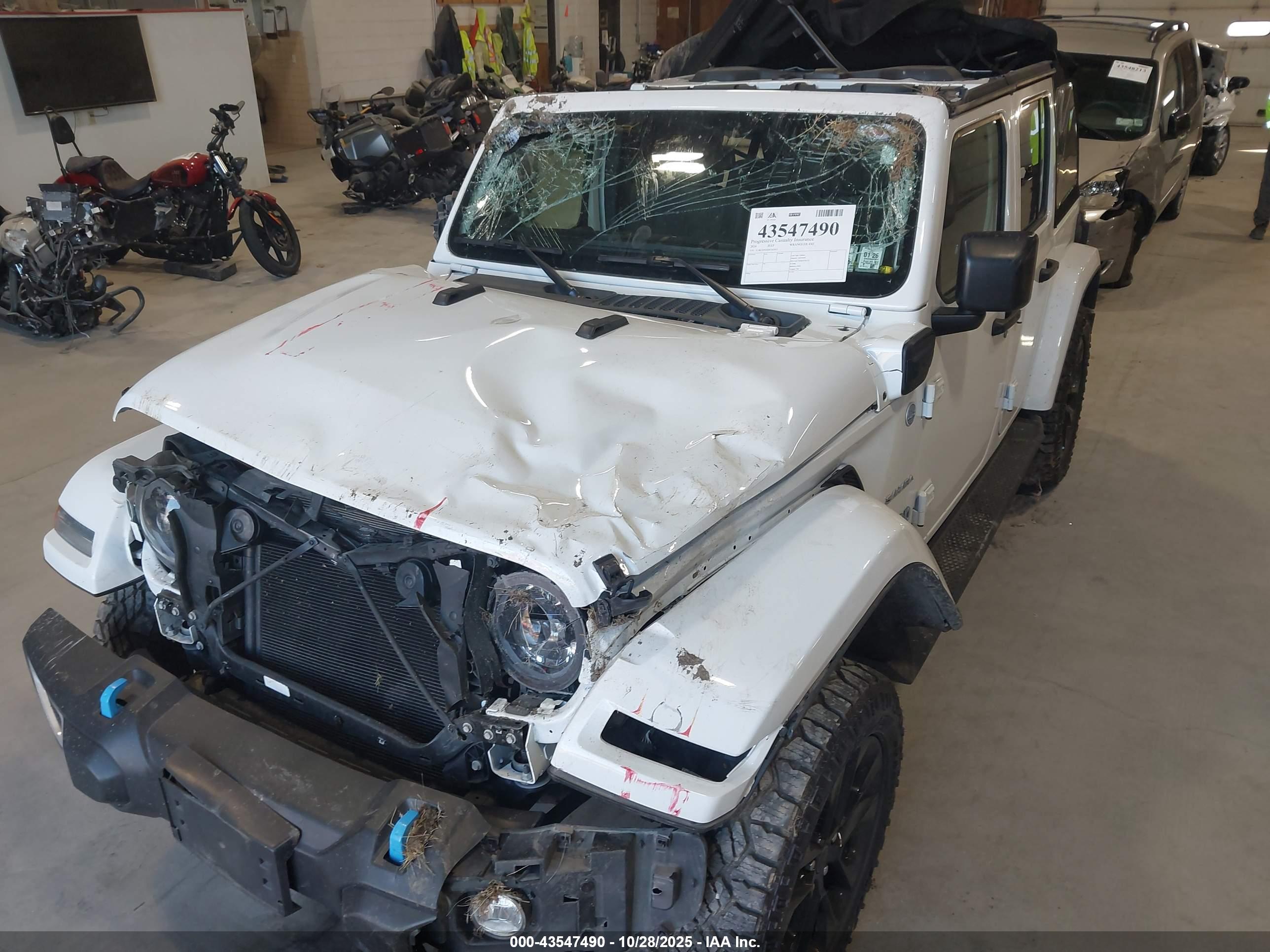 JEEP WRANGLER image 6