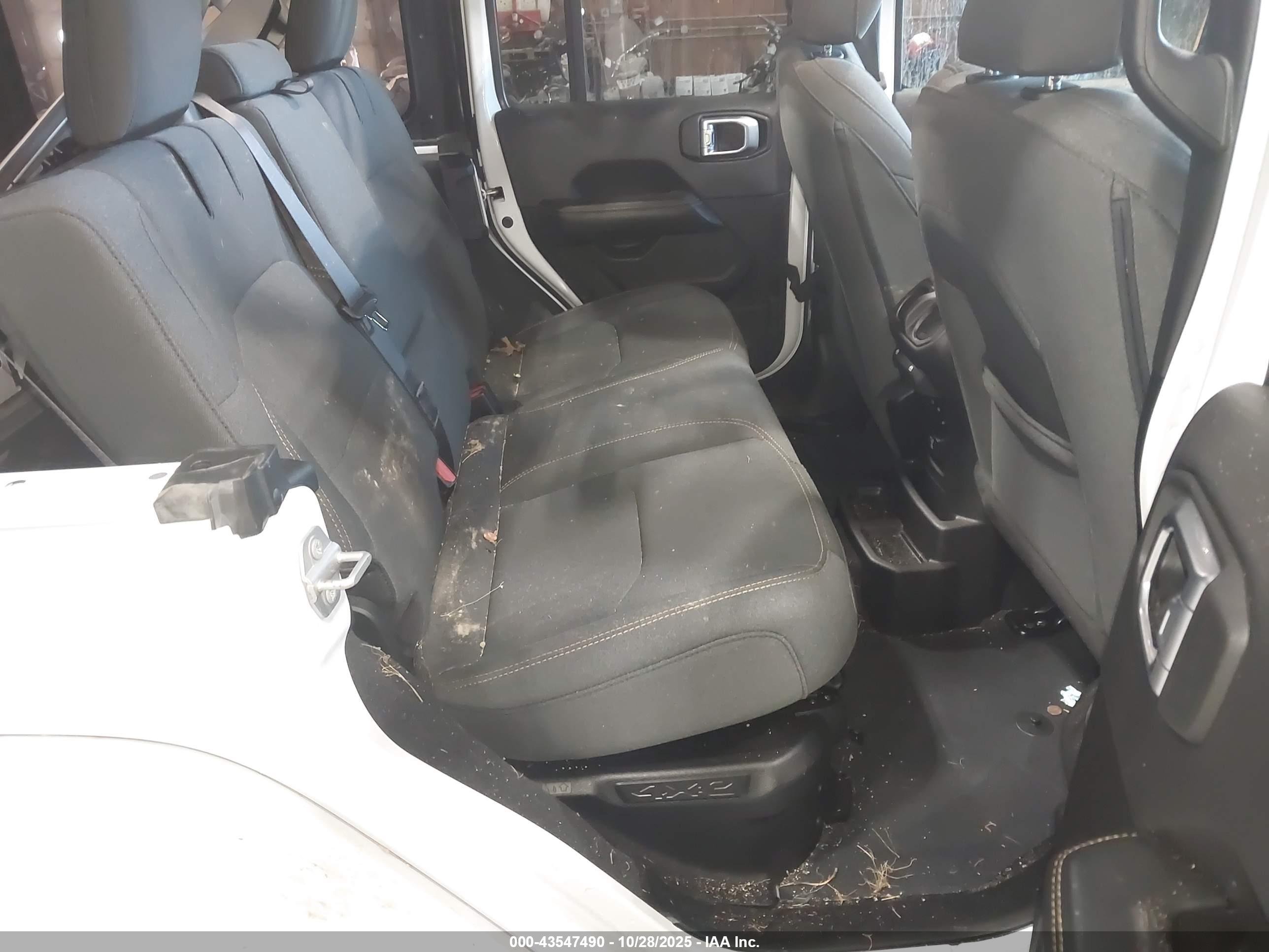 JEEP WRANGLER image 8