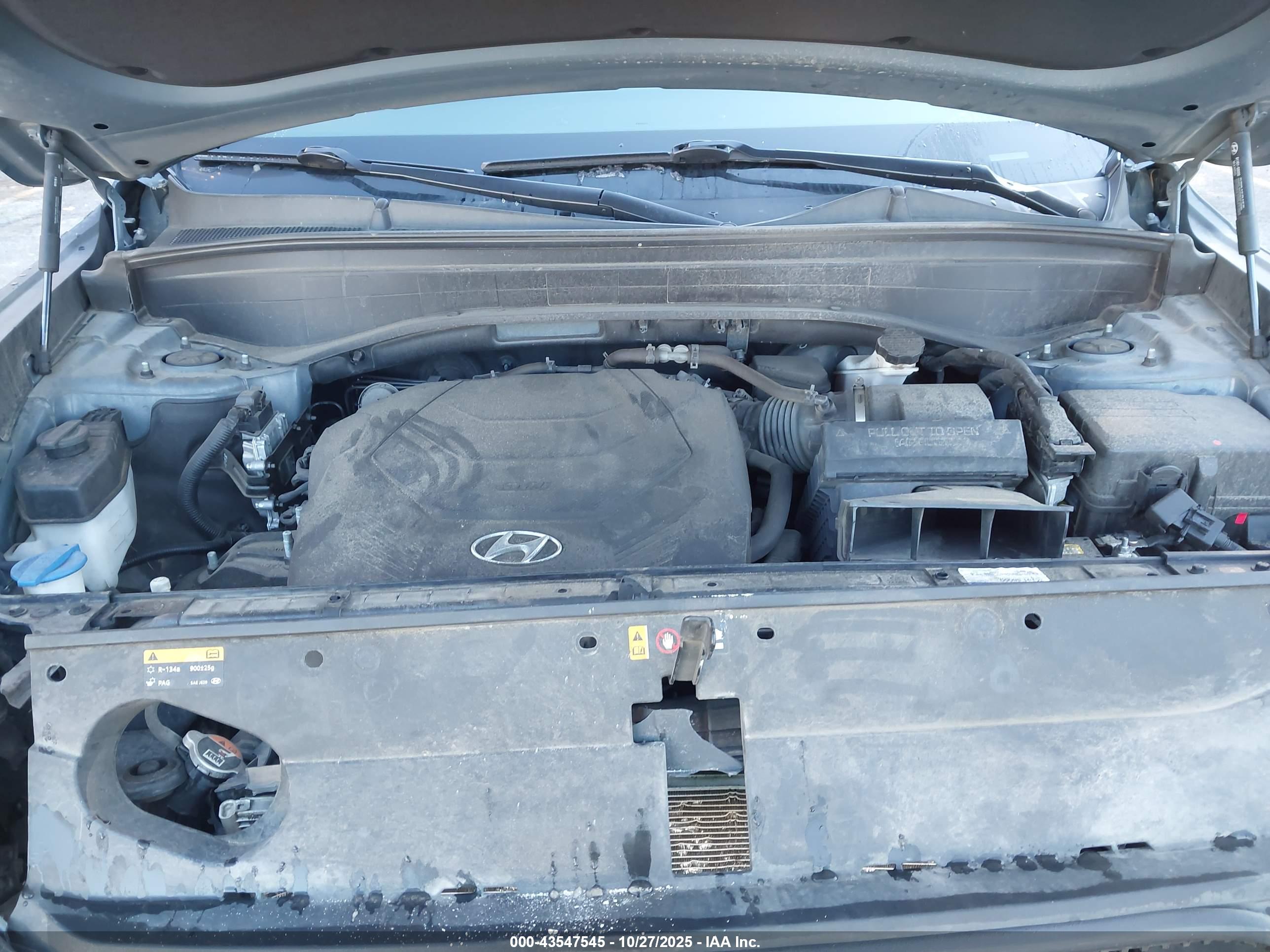 HYUNDAI PALISADE image 10