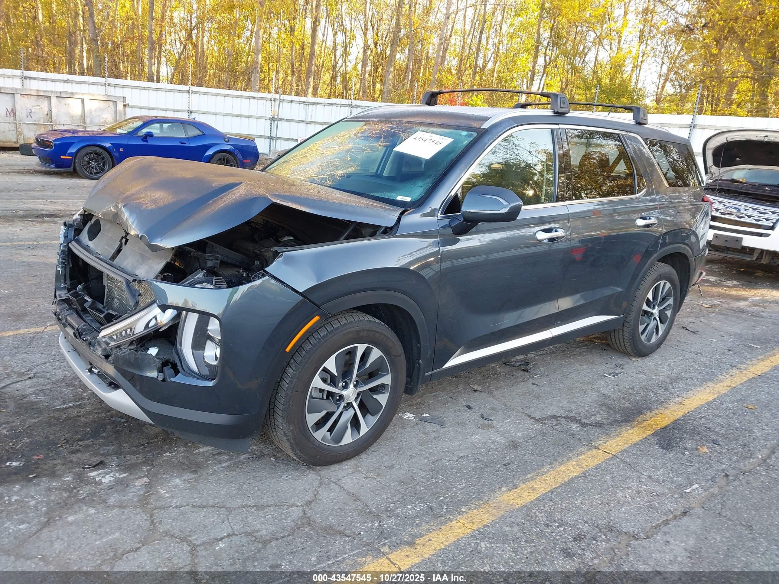 HYUNDAI PALISADE image 2