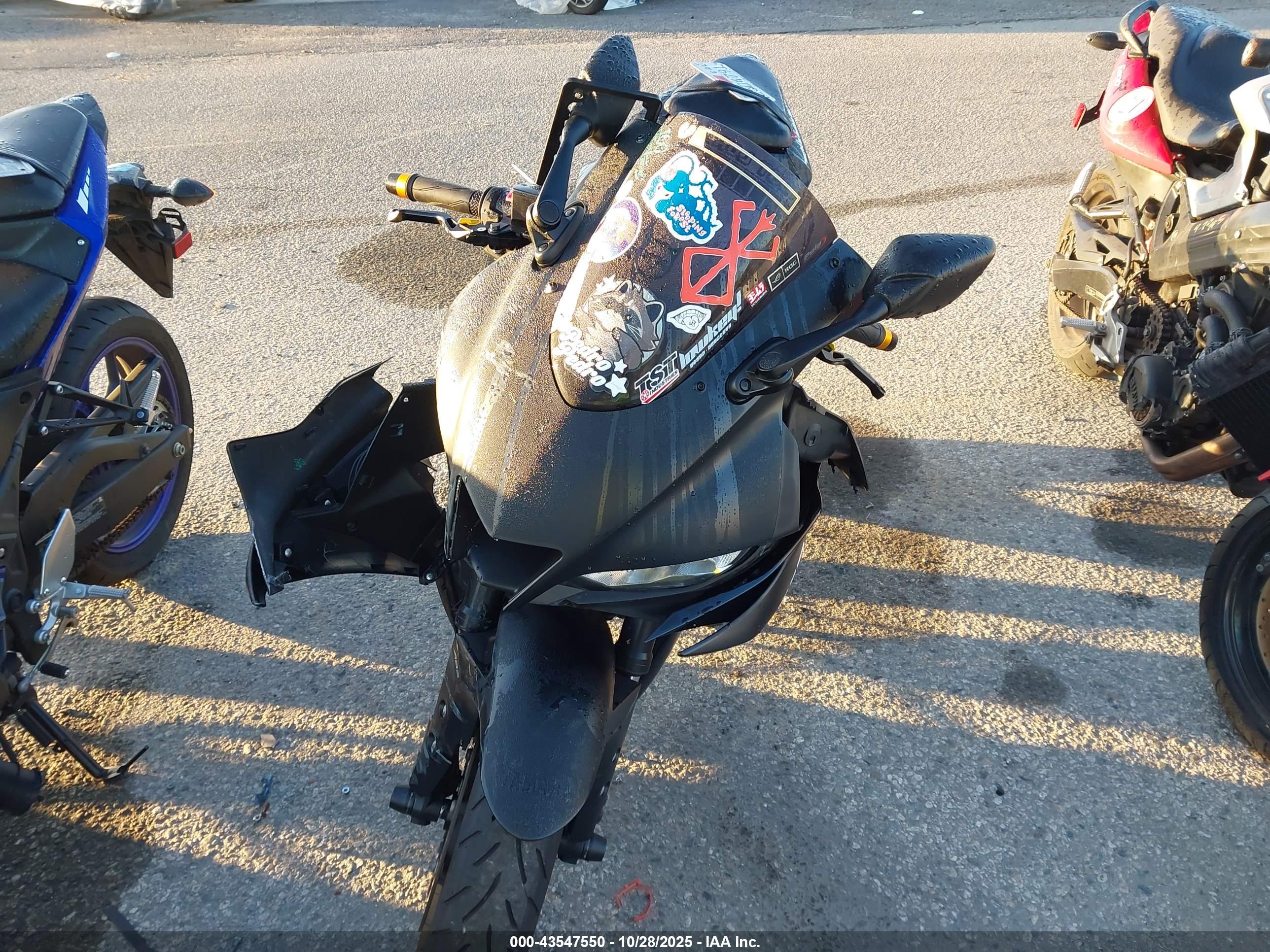 YAMAHA YZFR3 image 5