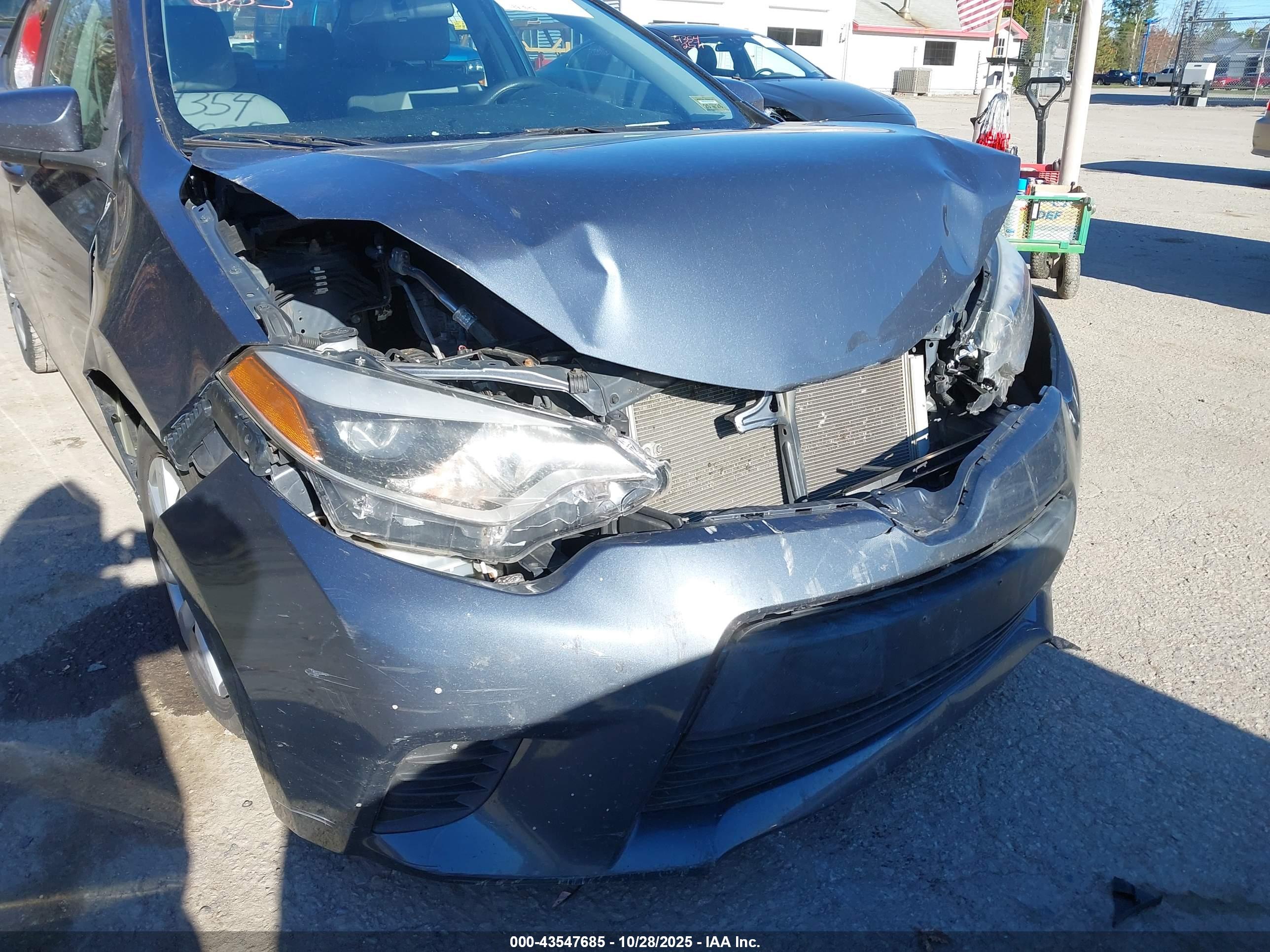 TOYOTA COROLLA image 6