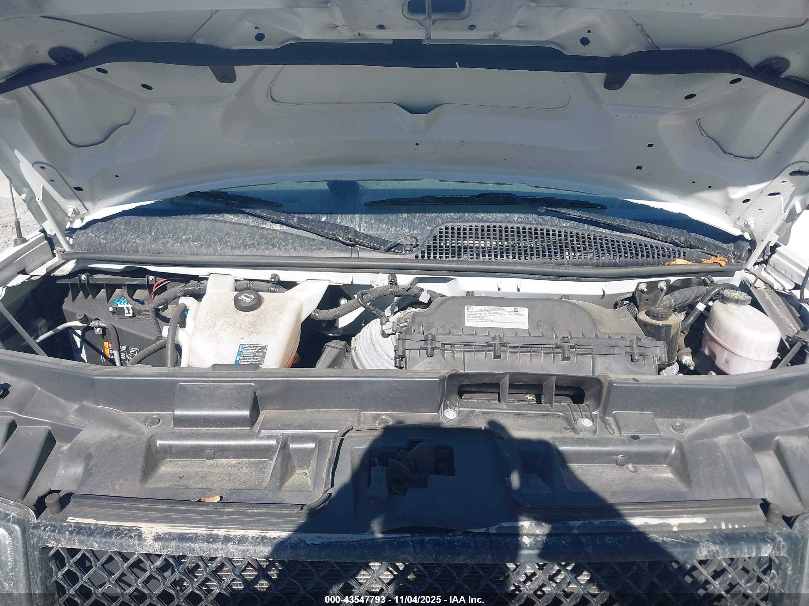 CHEVROLET EXPRESS image 10