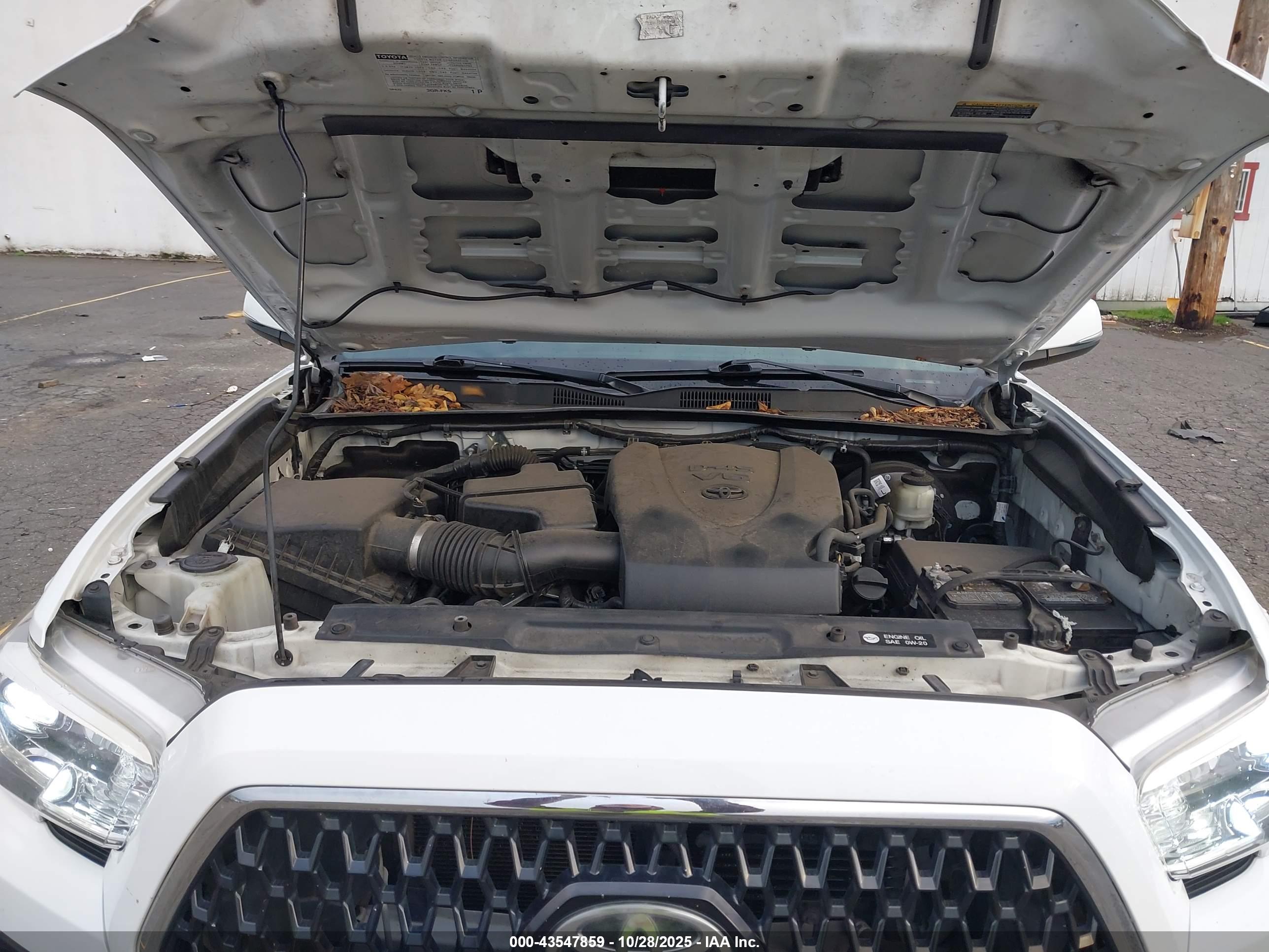 TOYOTA TACOMA image 10