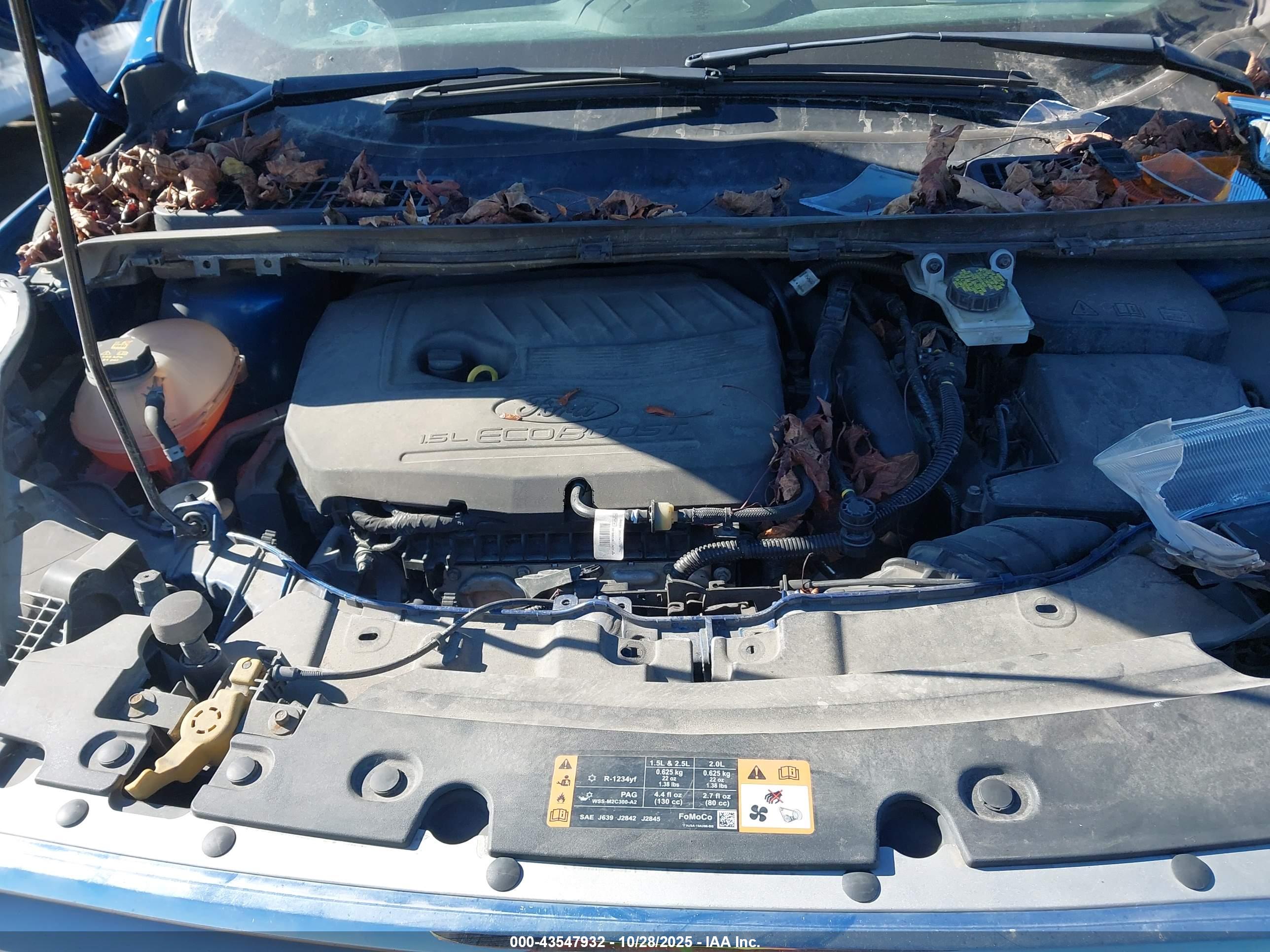 FORD ESCAPE image 10