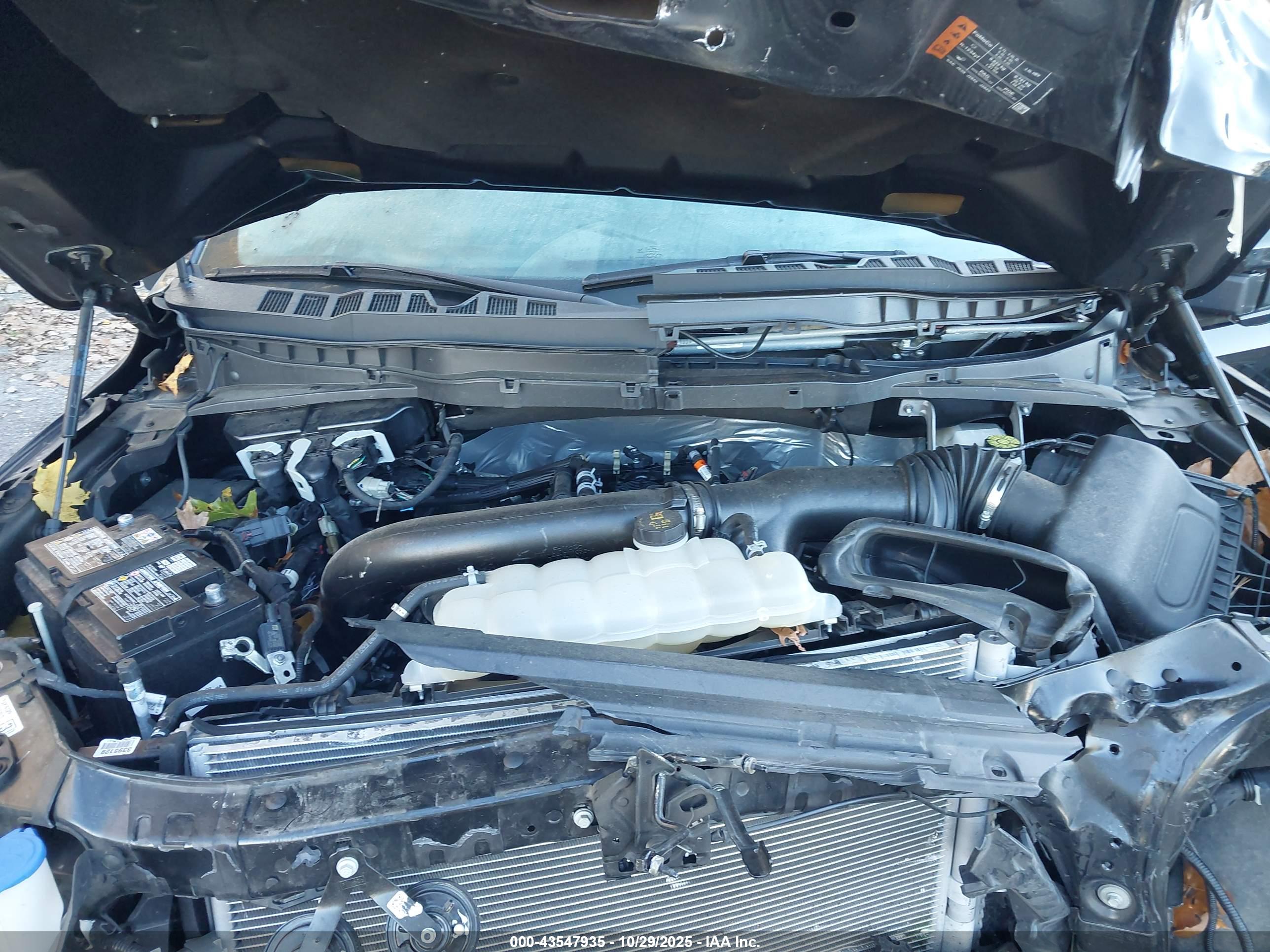 FORD F-150 image 10