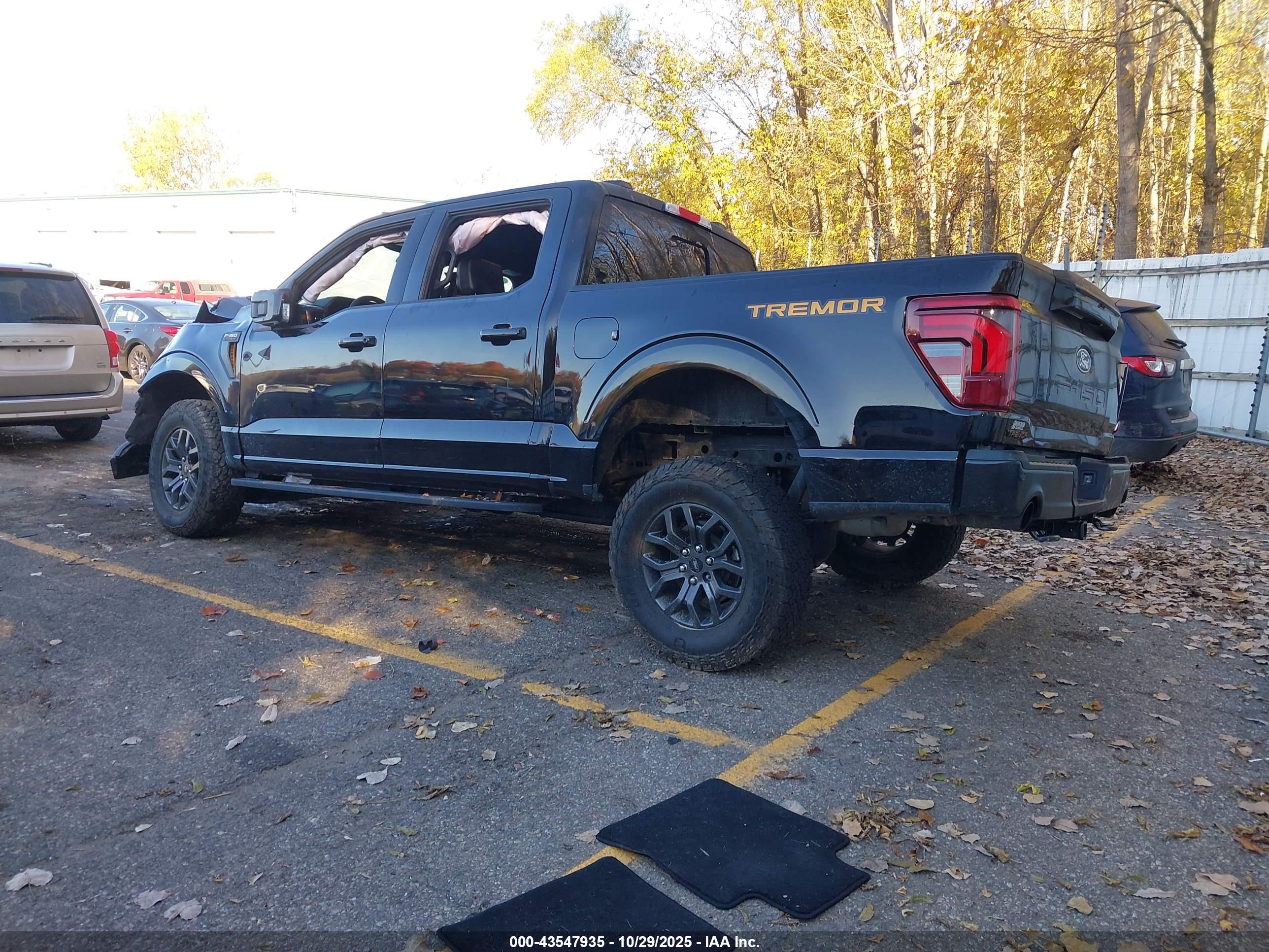 FORD F-150 image 3