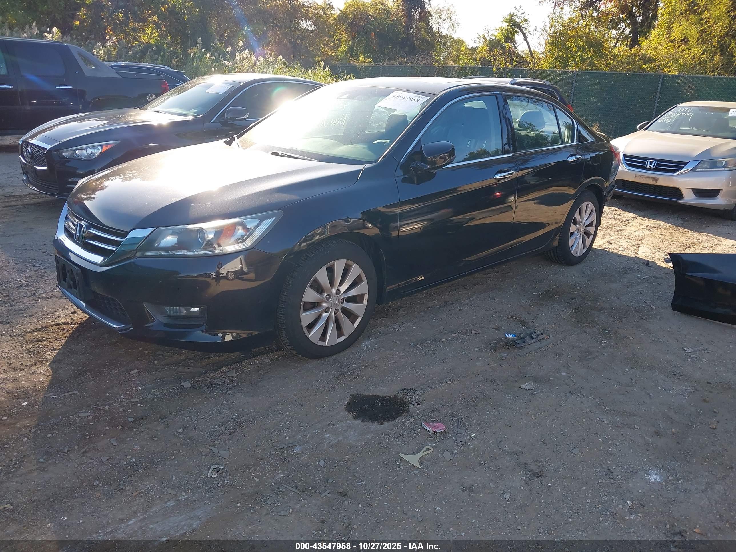 HONDA ACCORD image 2