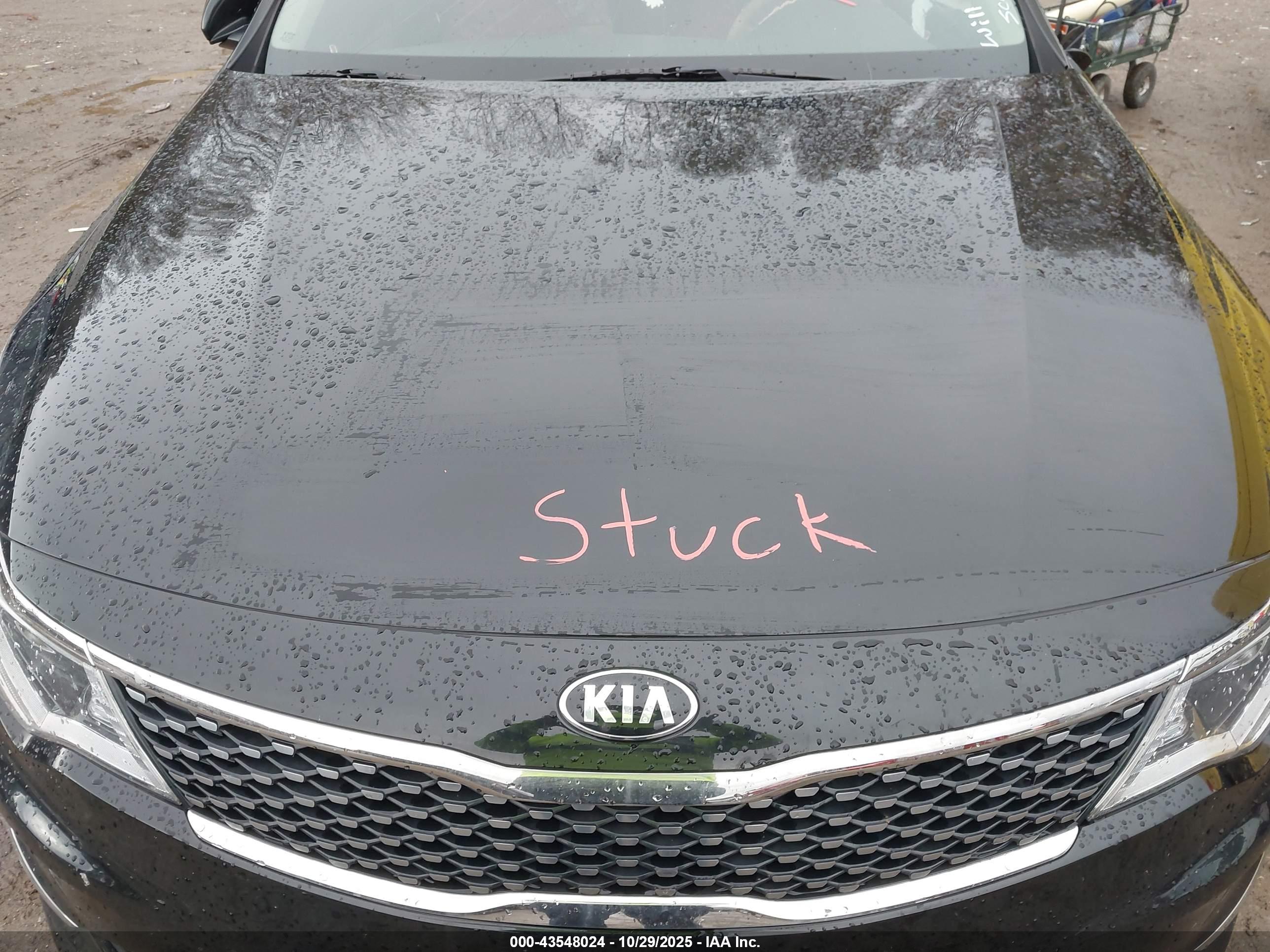 KIA OPTIMA image 10