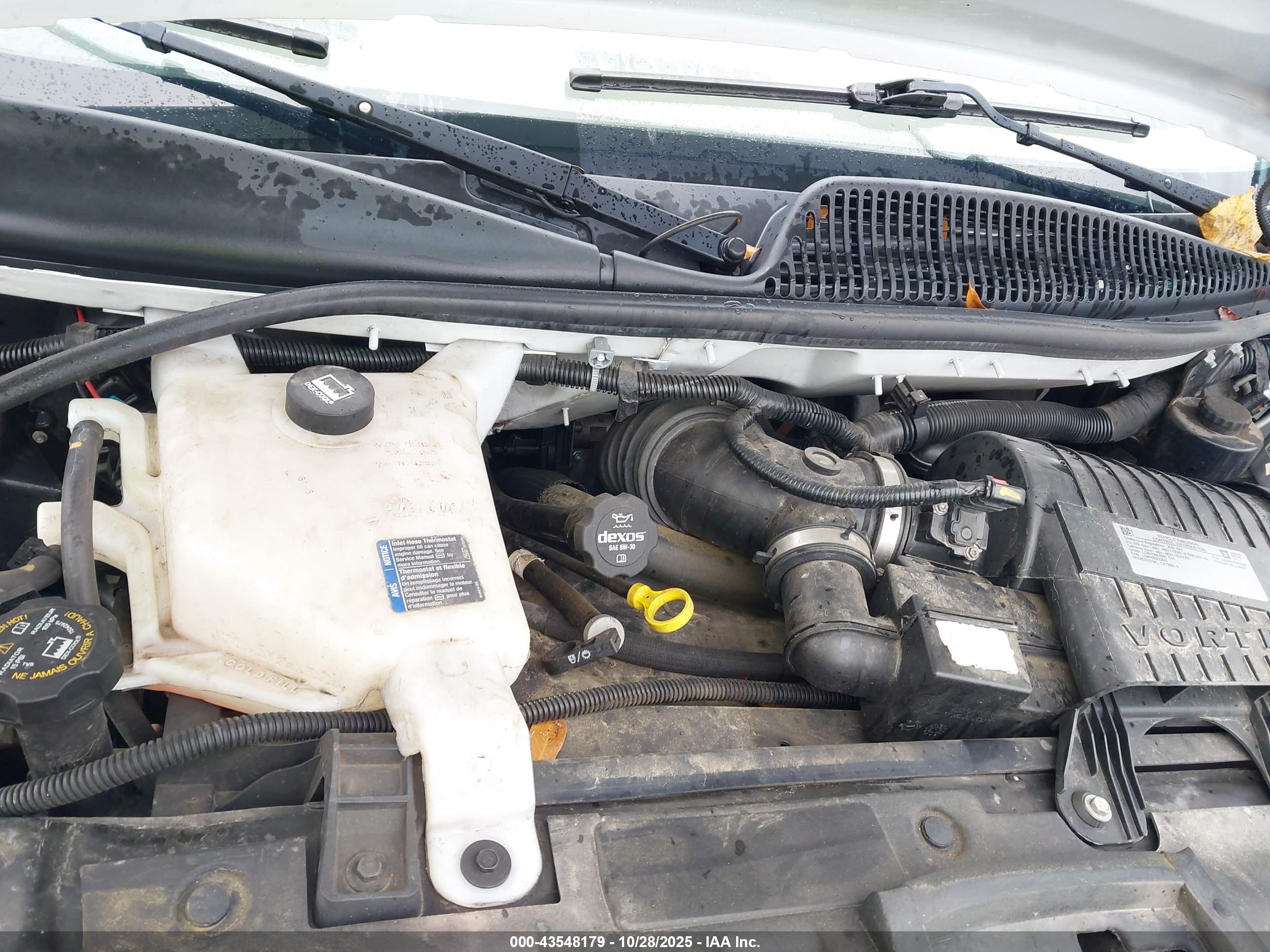 CHEVROLET EXPRESS image 10