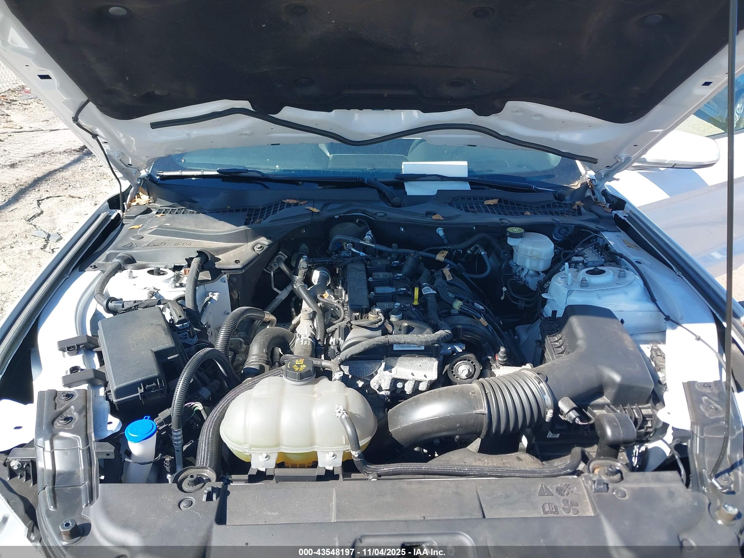 FORD MUSTANG image 10