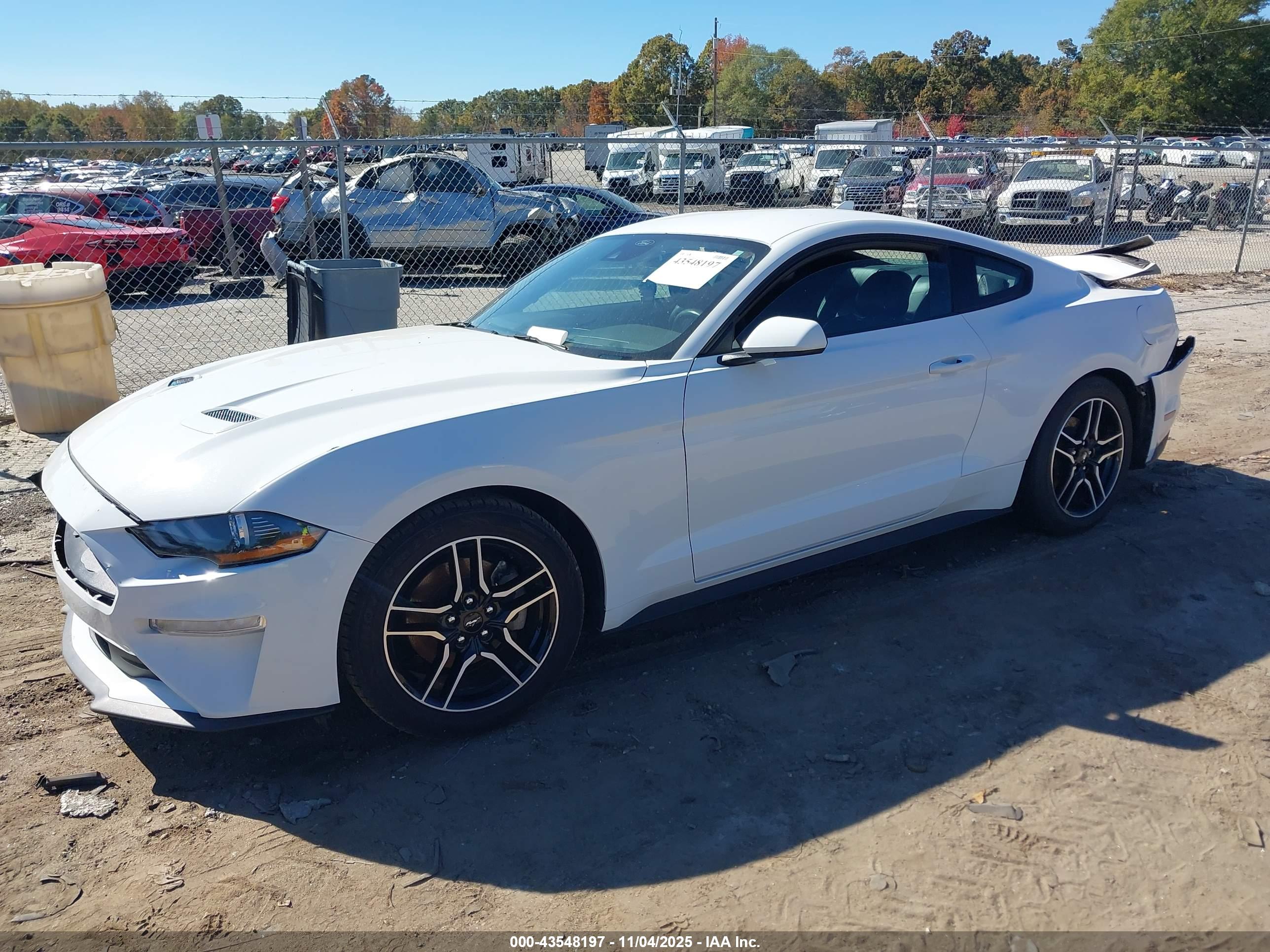 FORD MUSTANG image 2