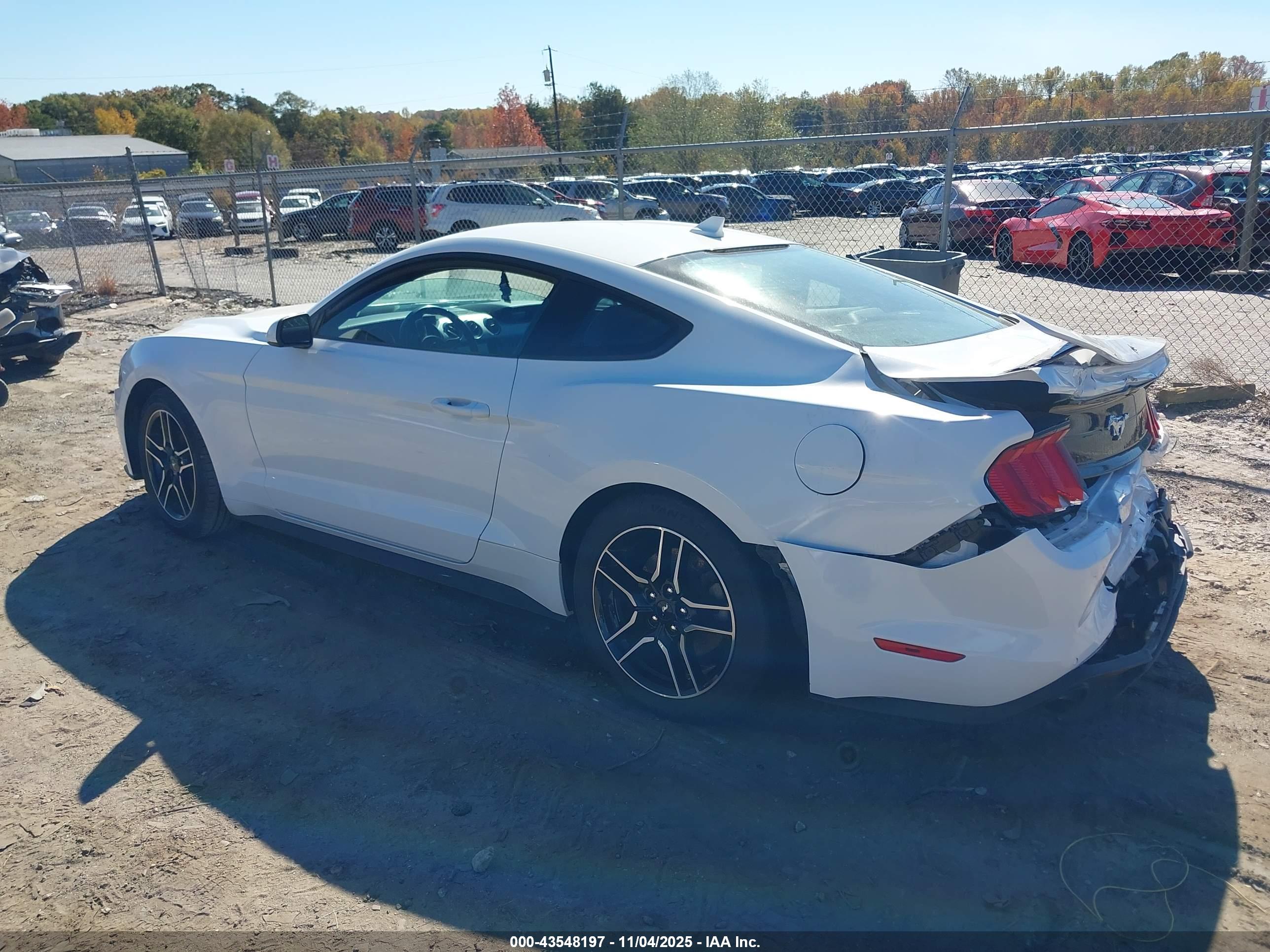 FORD MUSTANG image 3