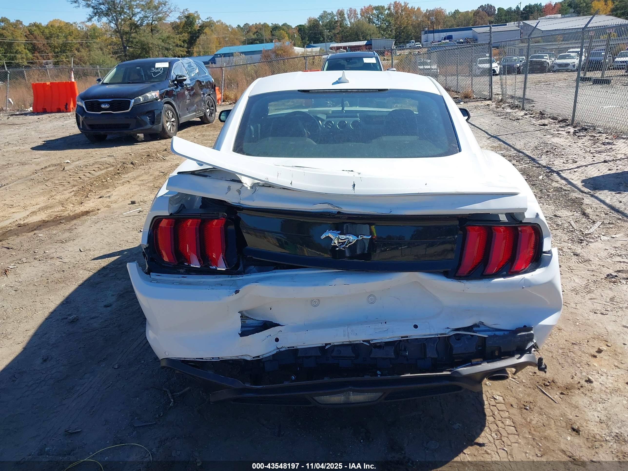 FORD MUSTANG image 6