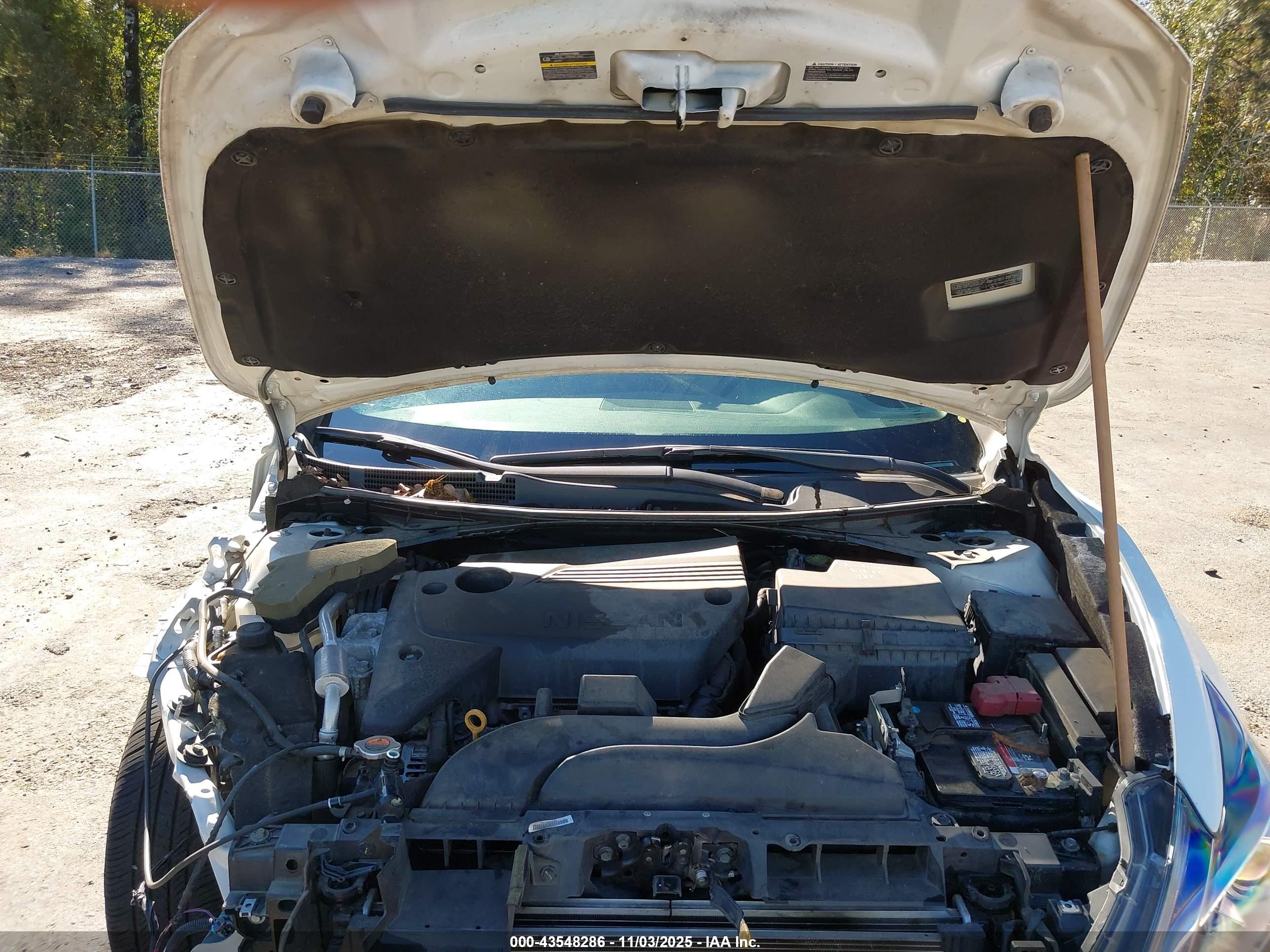 NISSAN ALTIMA image 10