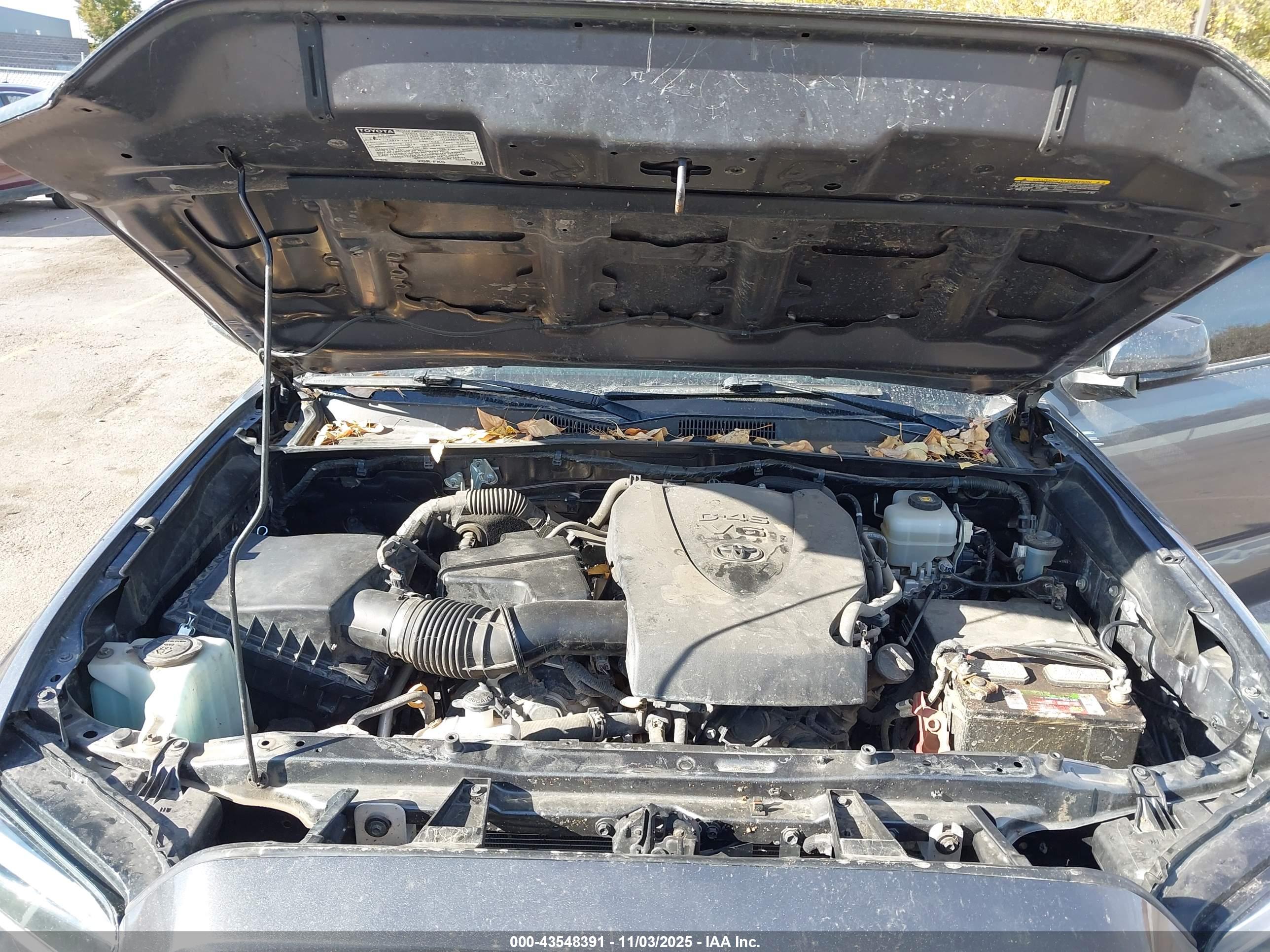 TOYOTA TACOMA image 10