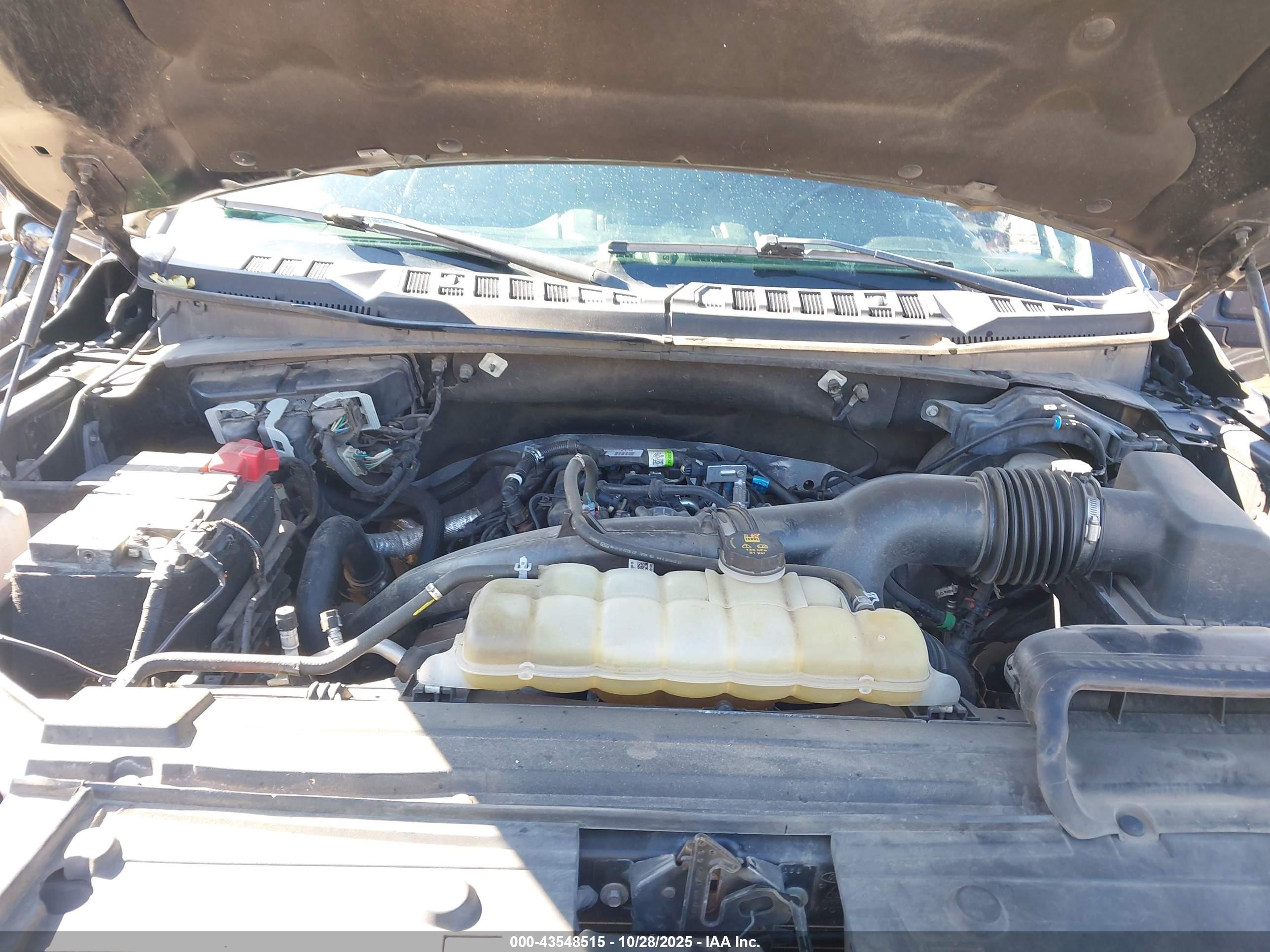 FORD F-150 image 10