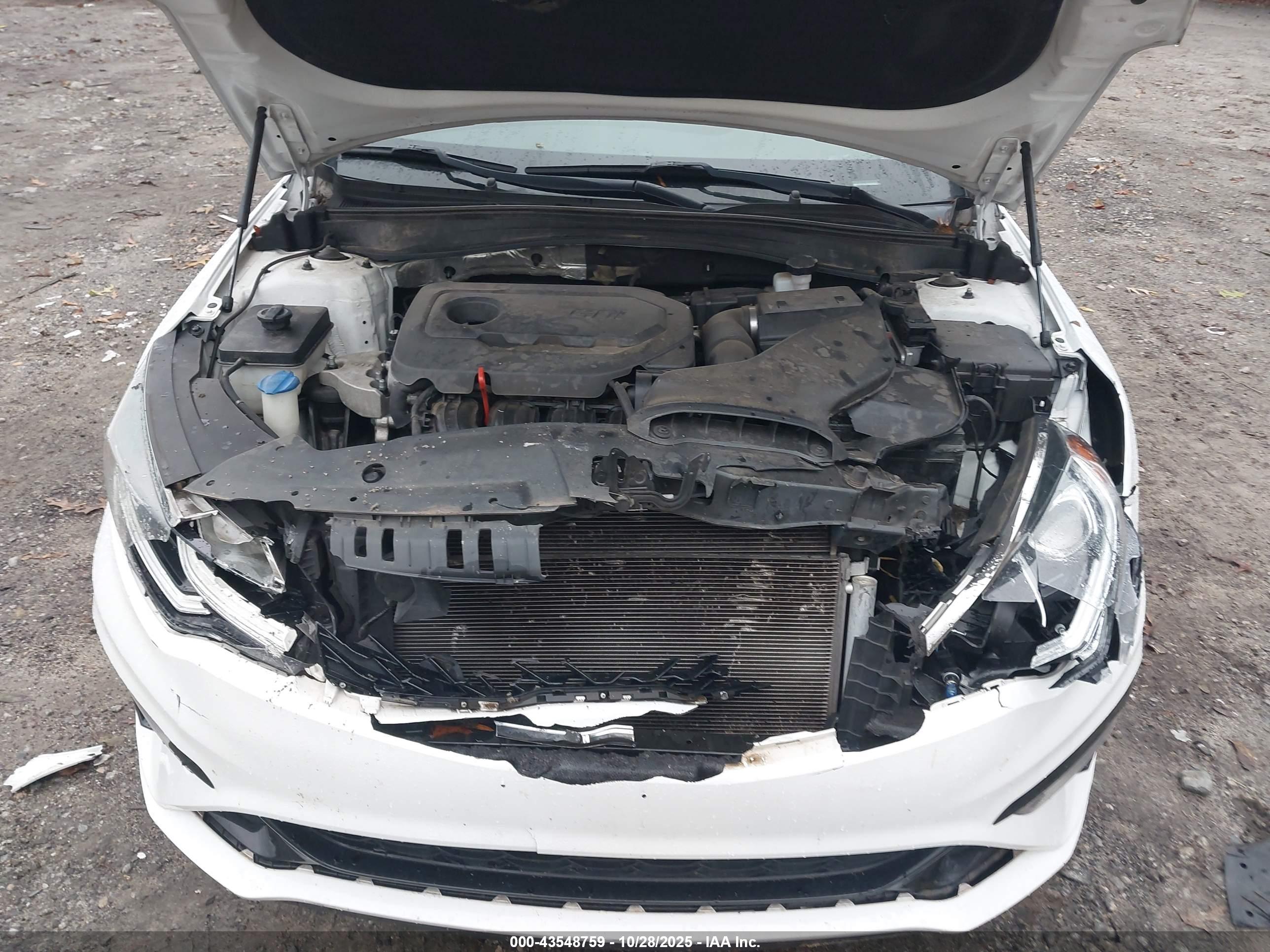 KIA OPTIMA image 10