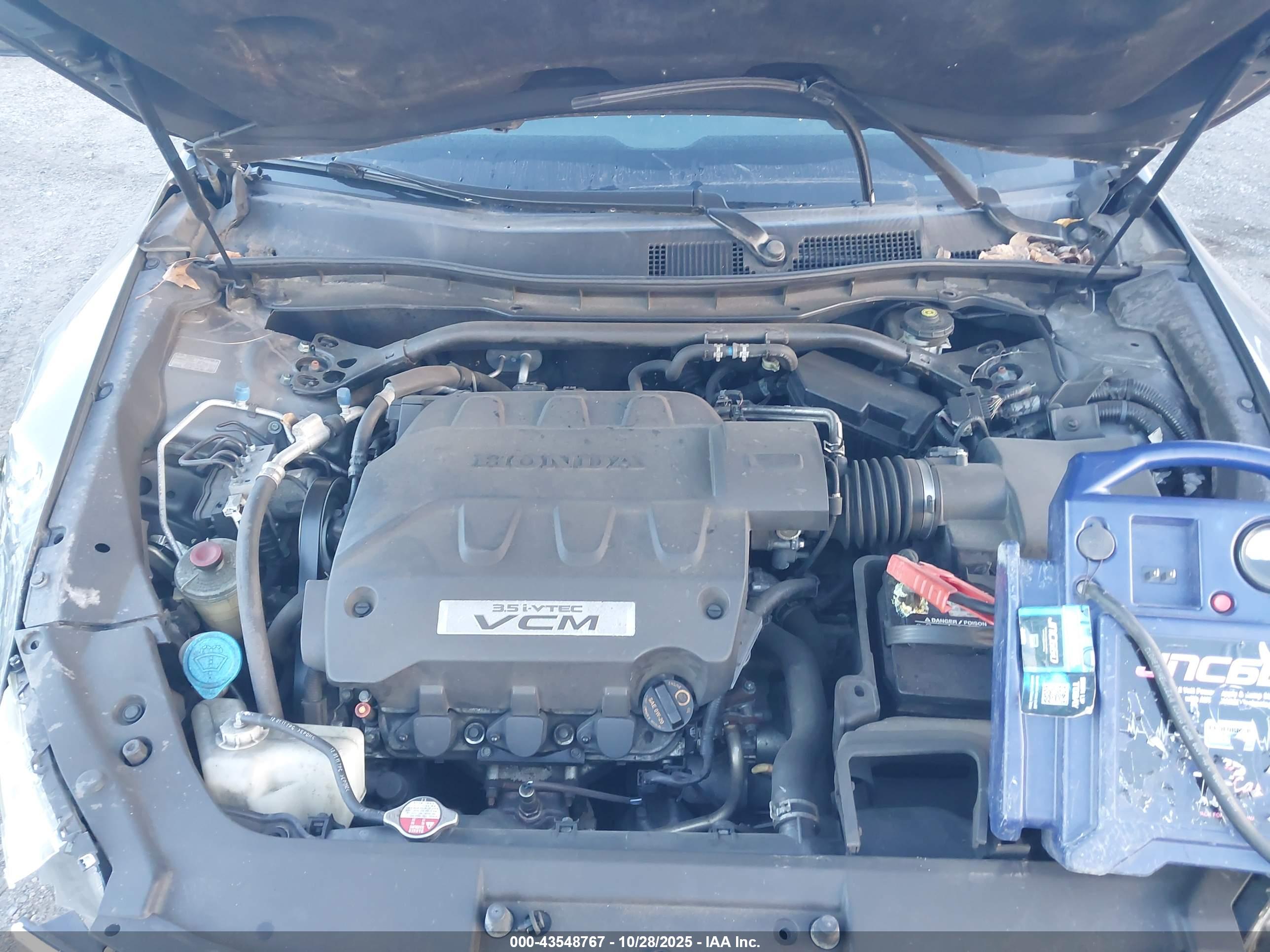 HONDA ACCORD image 10