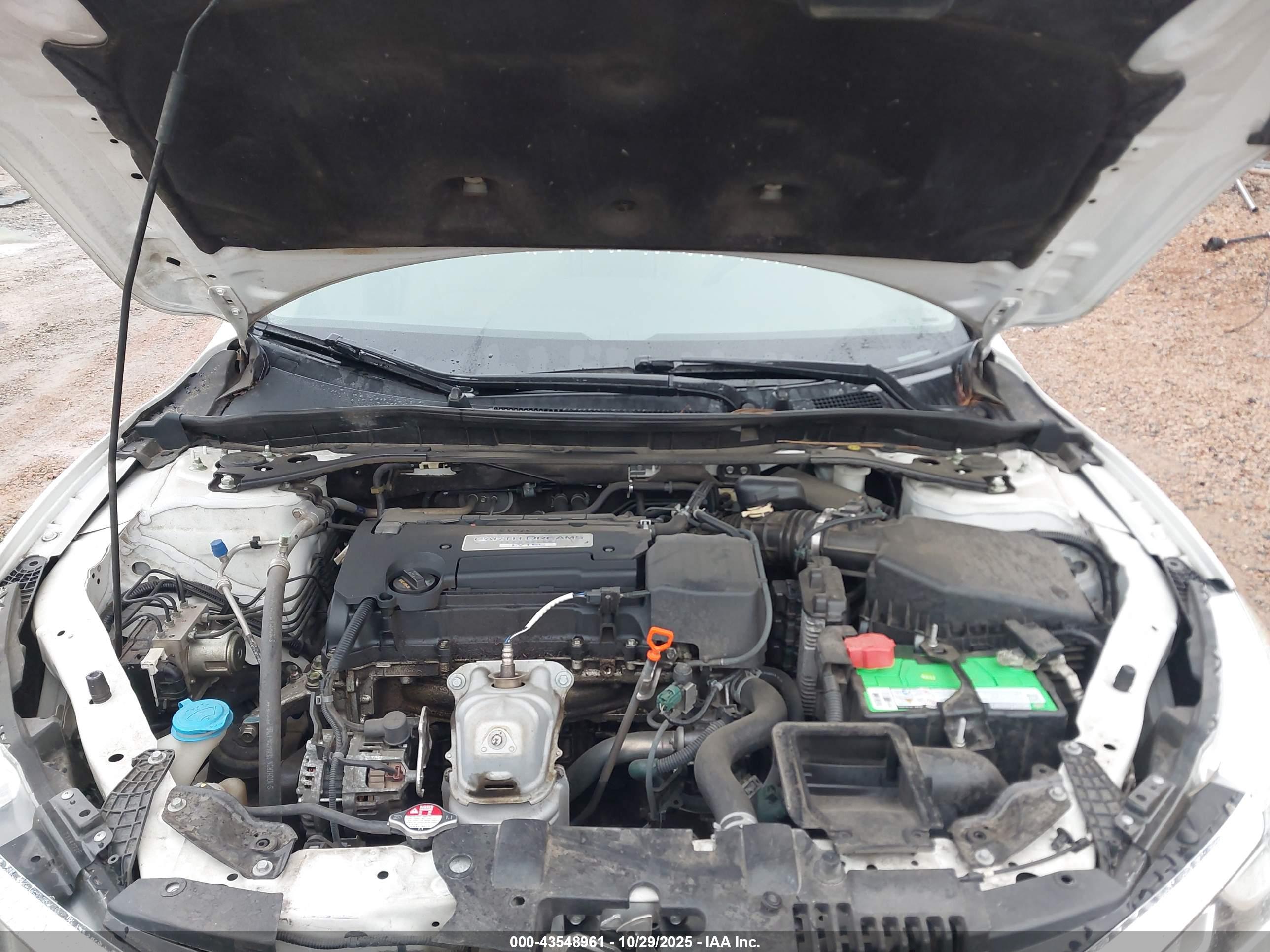 HONDA ACCORD image 10