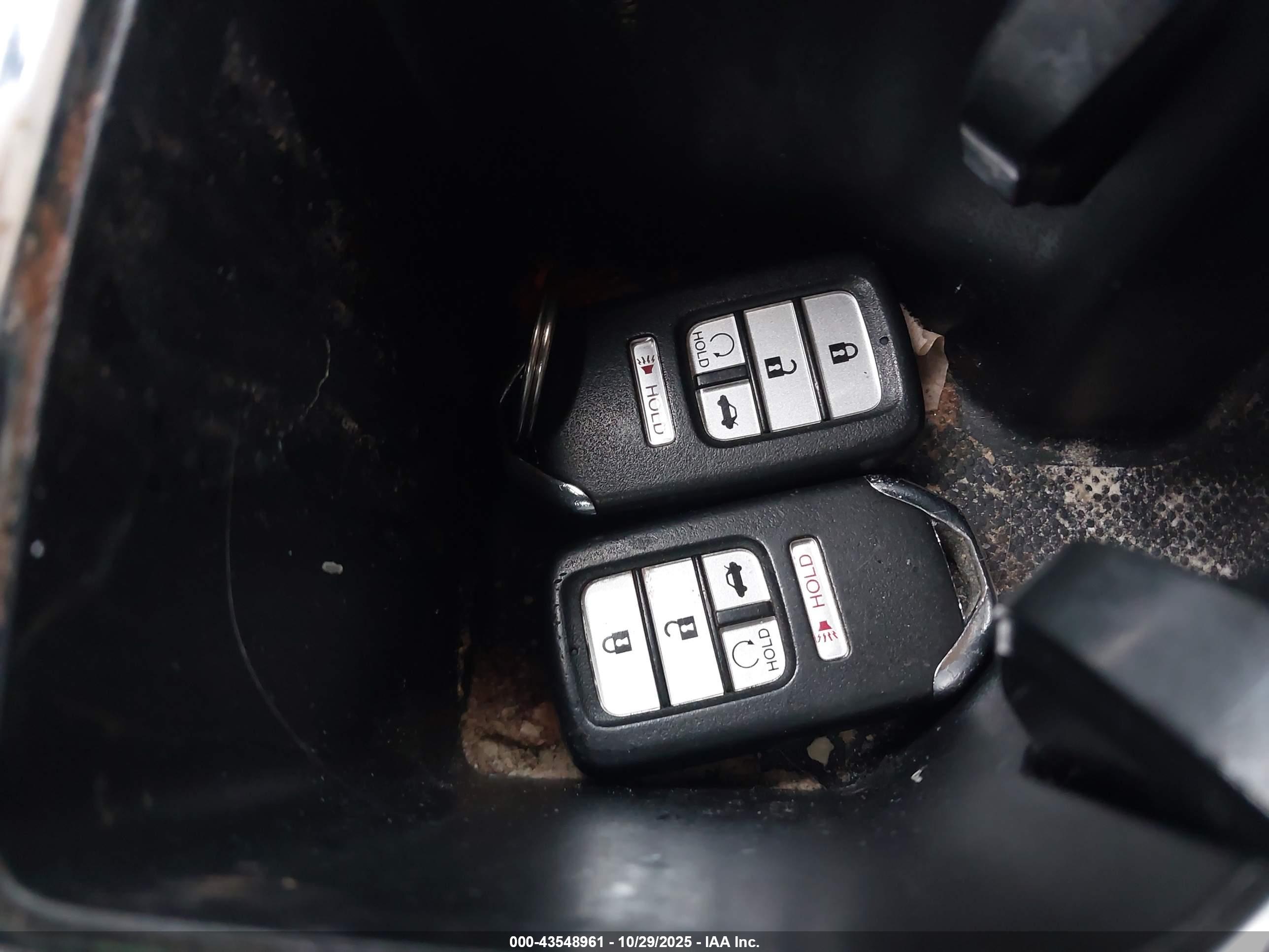 HONDA ACCORD image 11