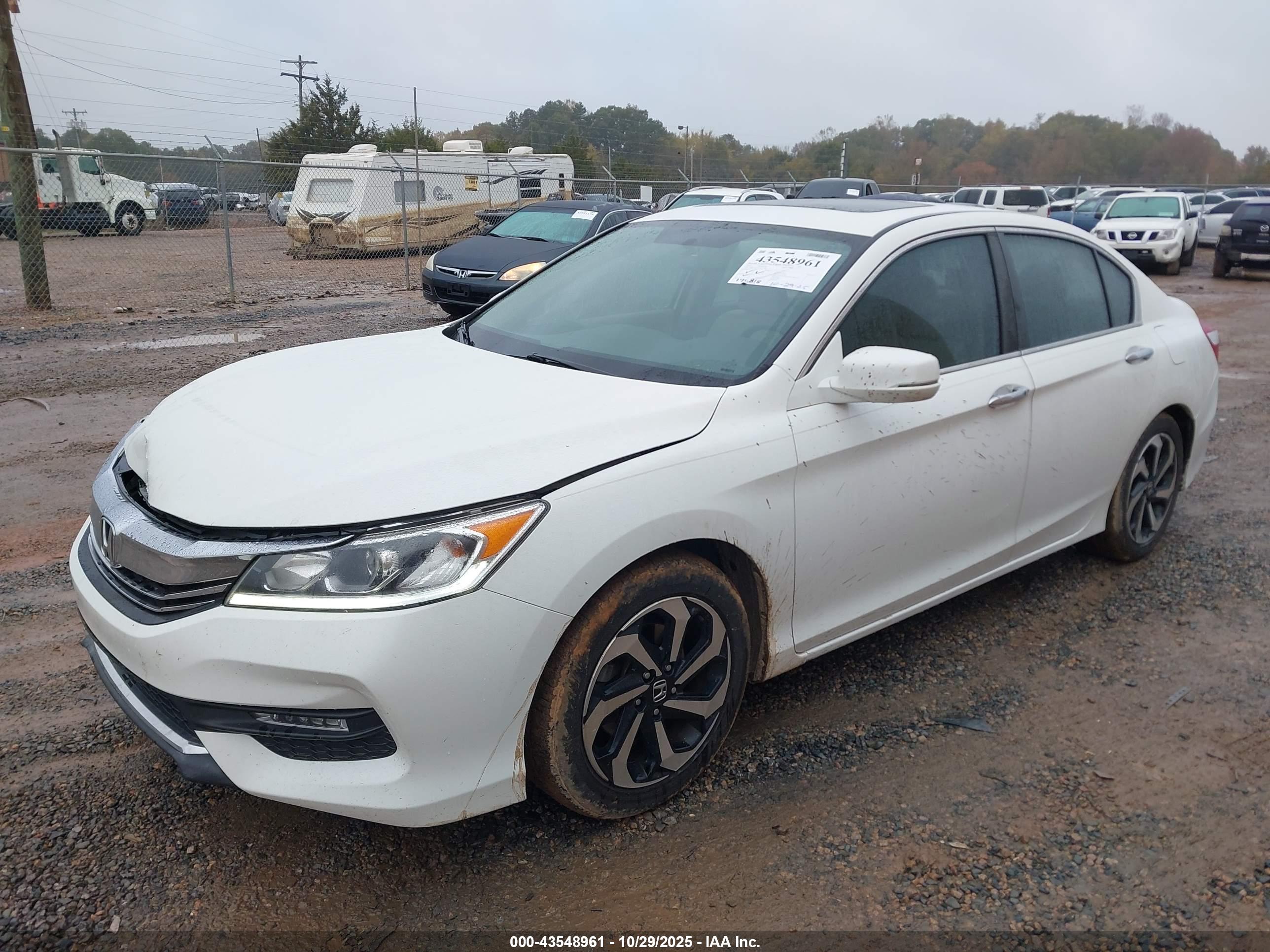 HONDA ACCORD image 2