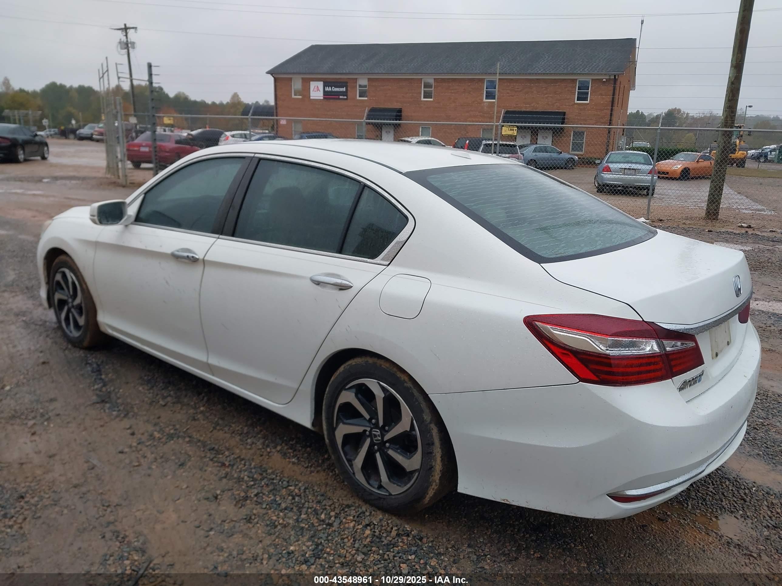 HONDA ACCORD image 3