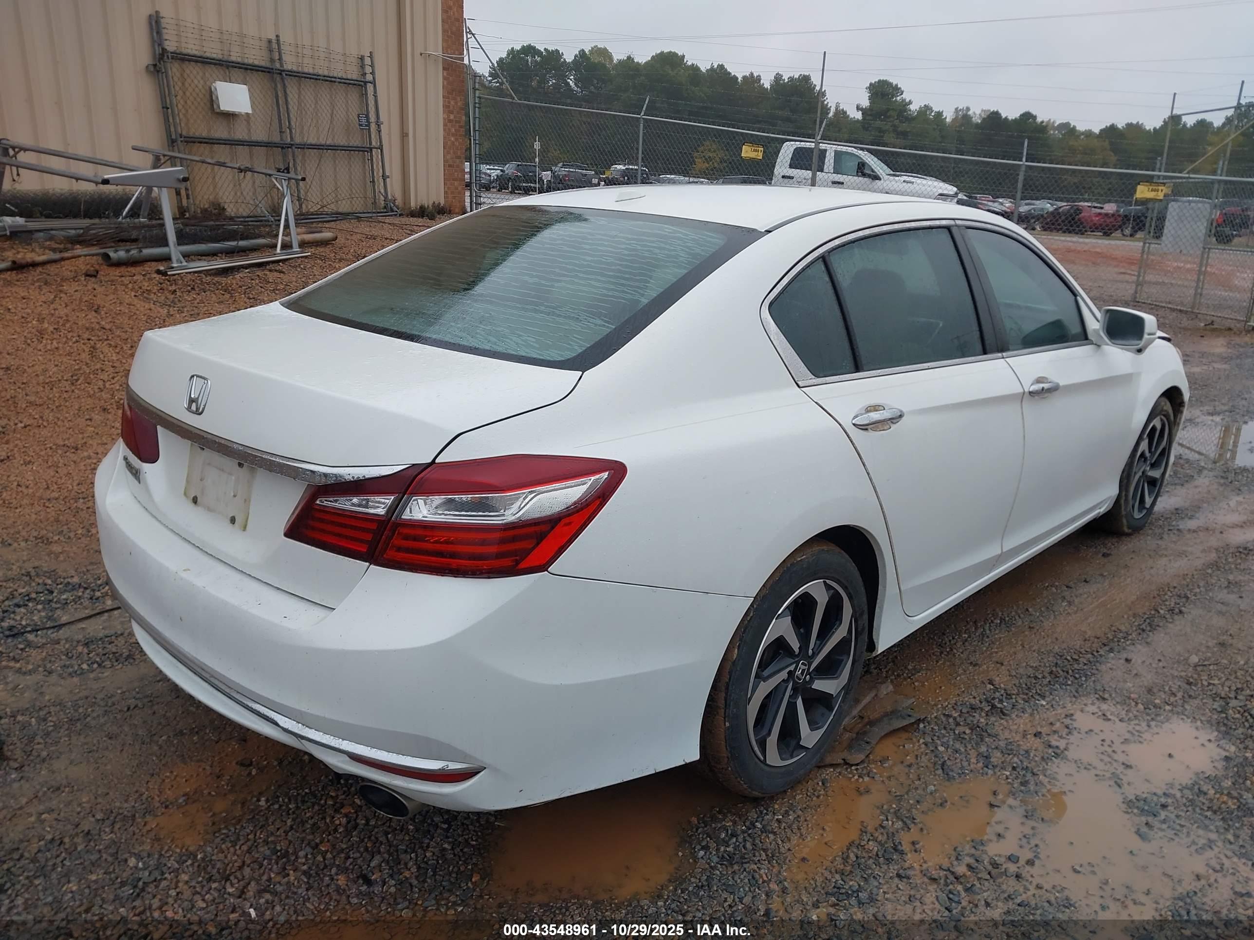 HONDA ACCORD image 4